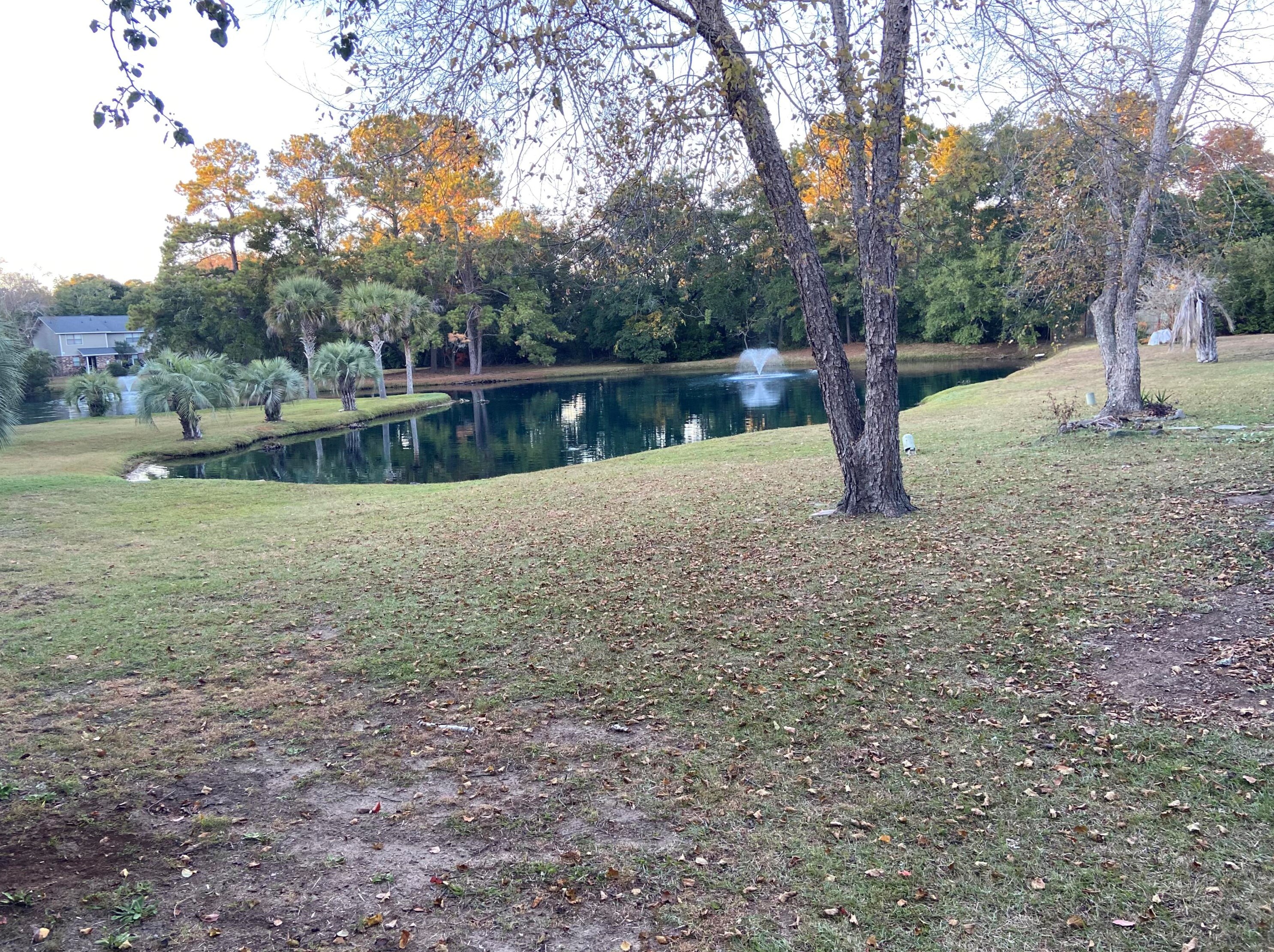 1152 Julian Clark Rd, Charleston, SC 29412-5253