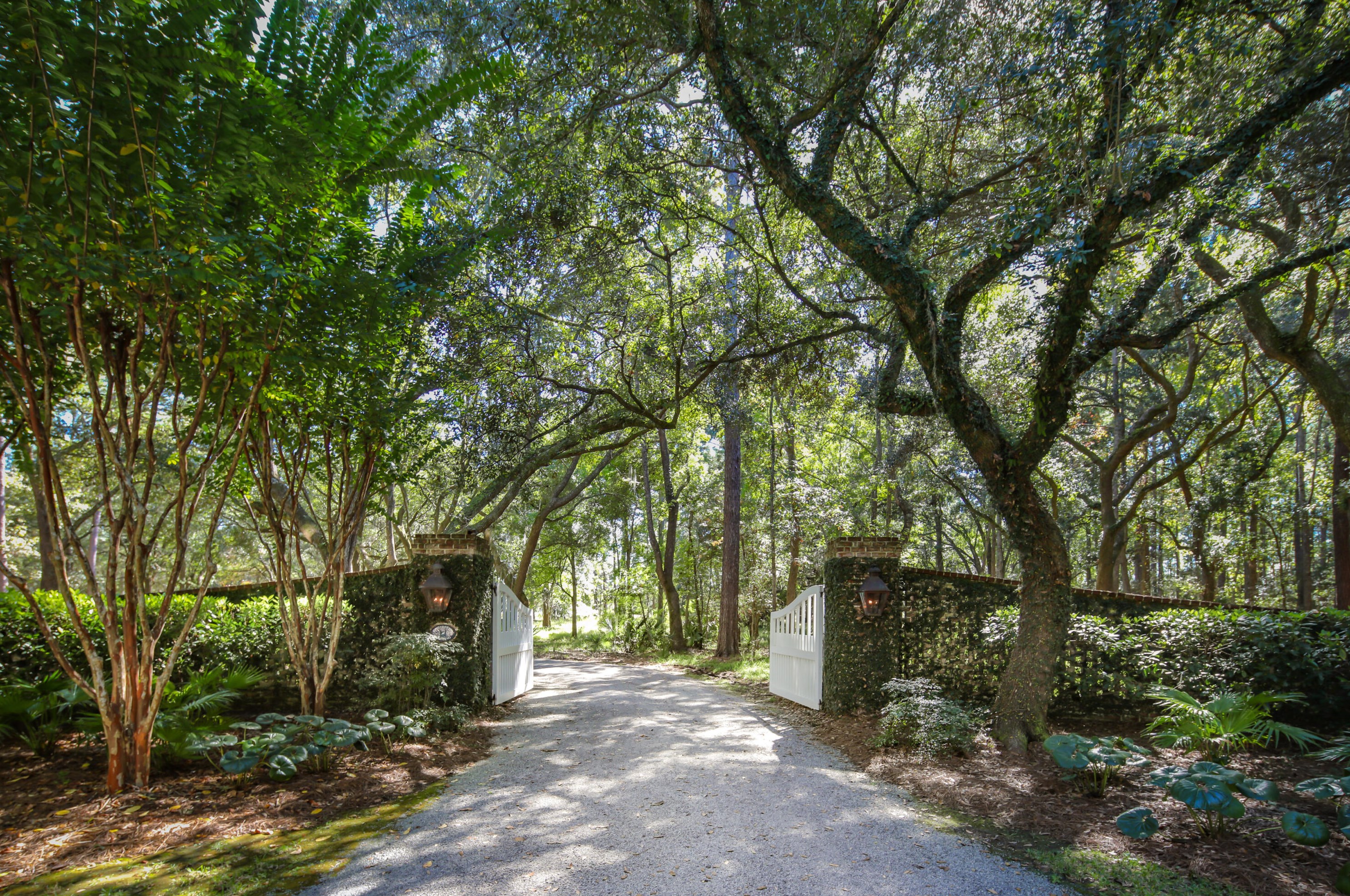 4458 Park Island Rd, Meggett, SC 29449