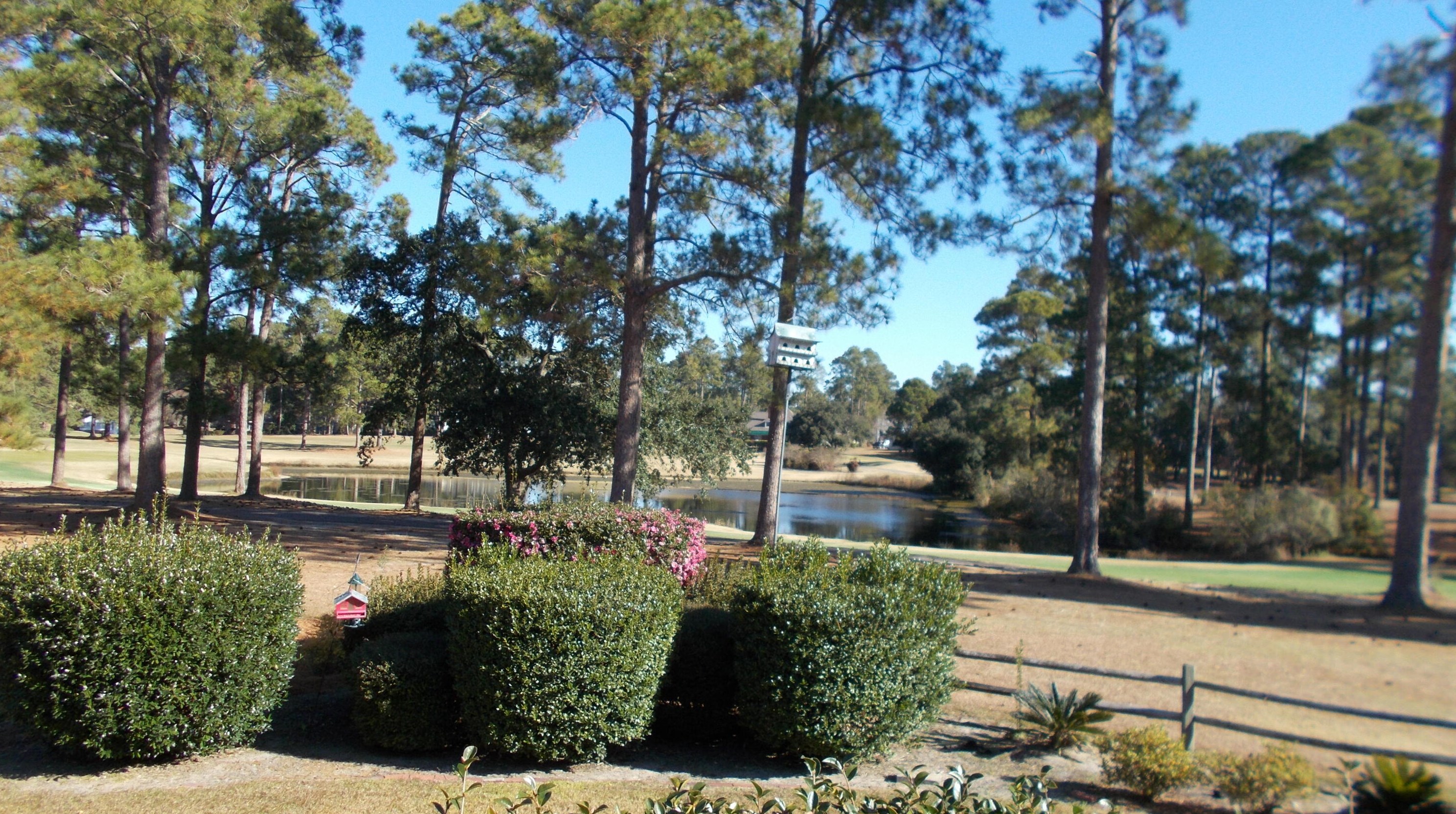 133 Saluda Dr, Parlers, SC 29142