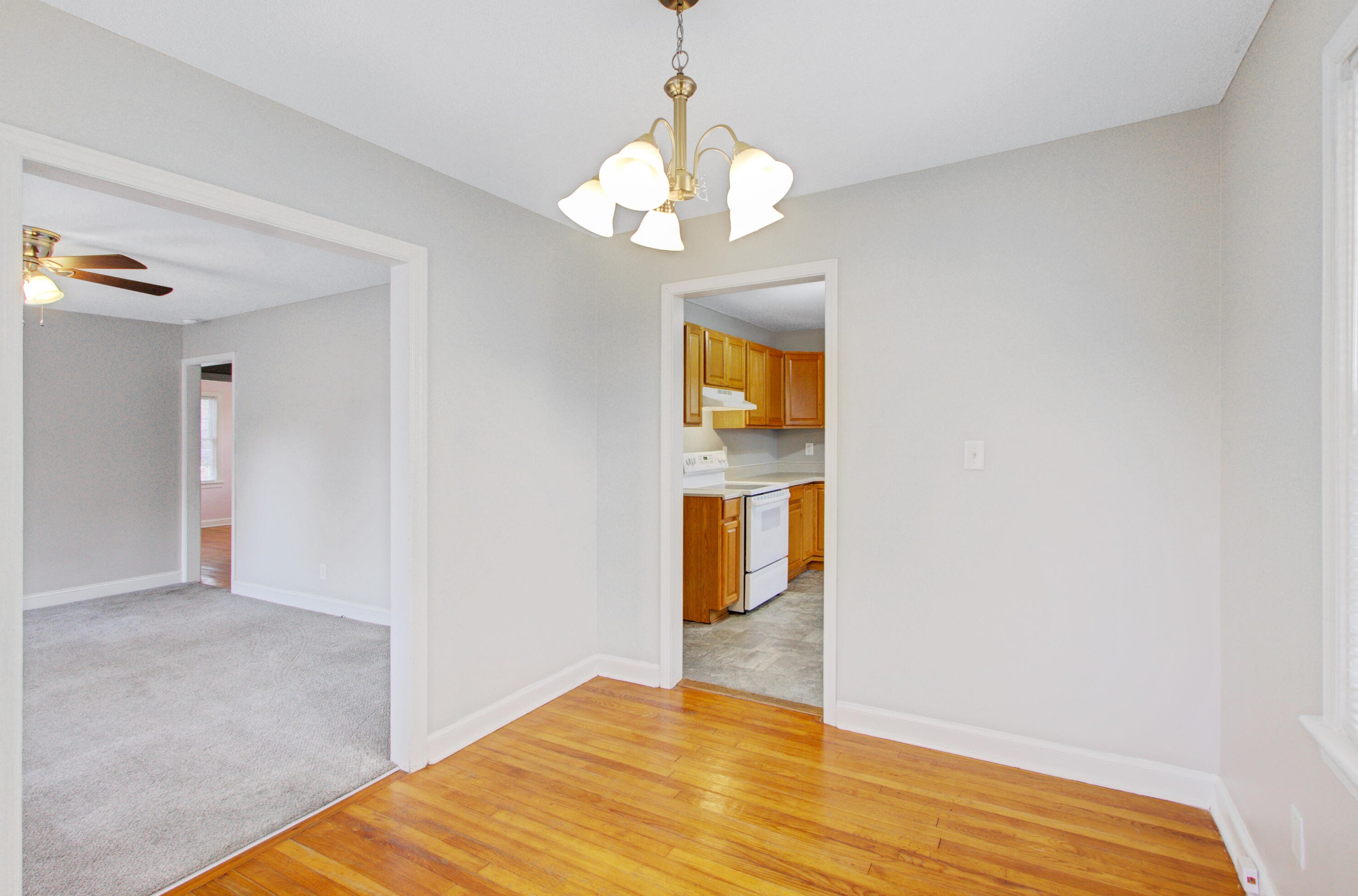 428 Mary Scott Dr, Charleston SC 29445-3505 exterior