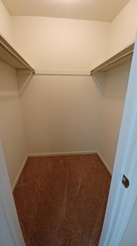 5048 Foxwood Dr, Charleston SC 29418-3282 exterior