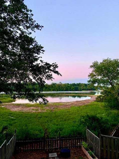 1483 Harborsun Dr, Charleston SC 29412-8289 exterior