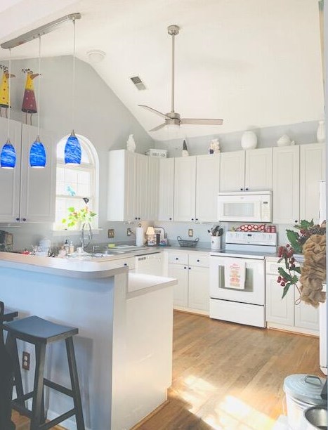 1483 Harborsun Dr, Charleston SC 29412-8289 exterior