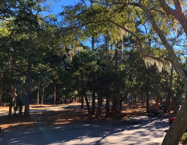 497 Sea Cloud Cir, Edisto, SC 29438-3603