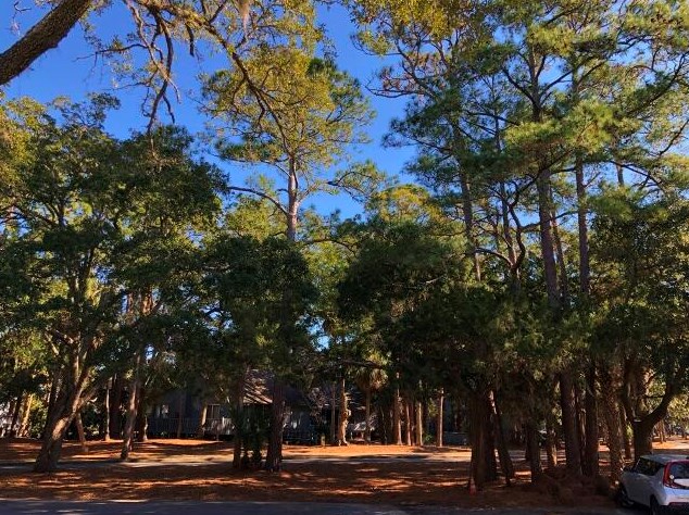 496 Sea Cloud Cir, Edisto, SC 29438-3603