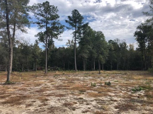 6820 Augusta Hwy, Smoaks, SC 29481