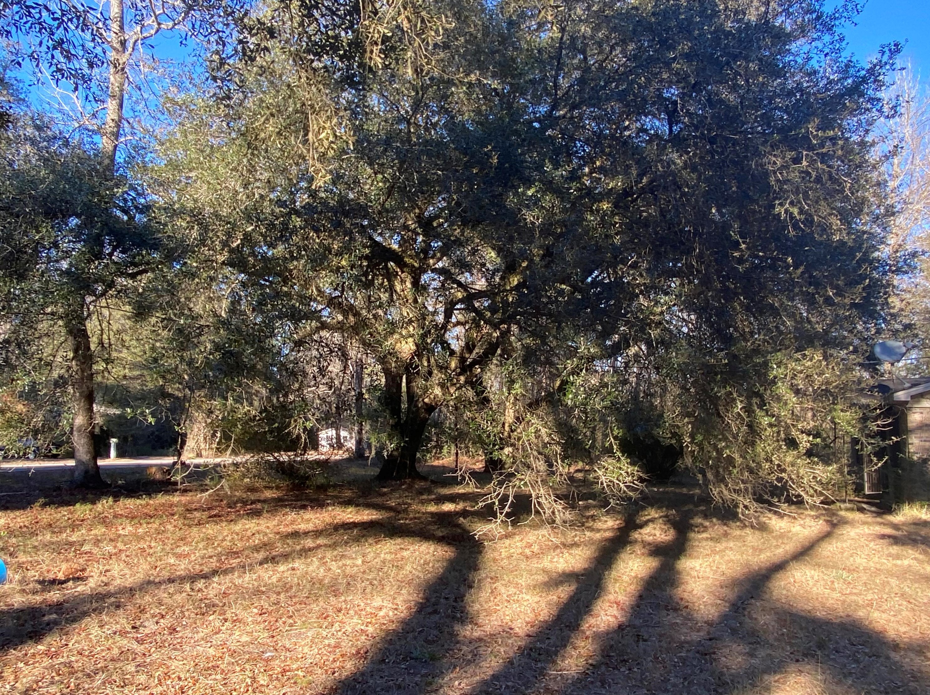 10145 Old Georgetown Rd, McClellanville, SC 29458