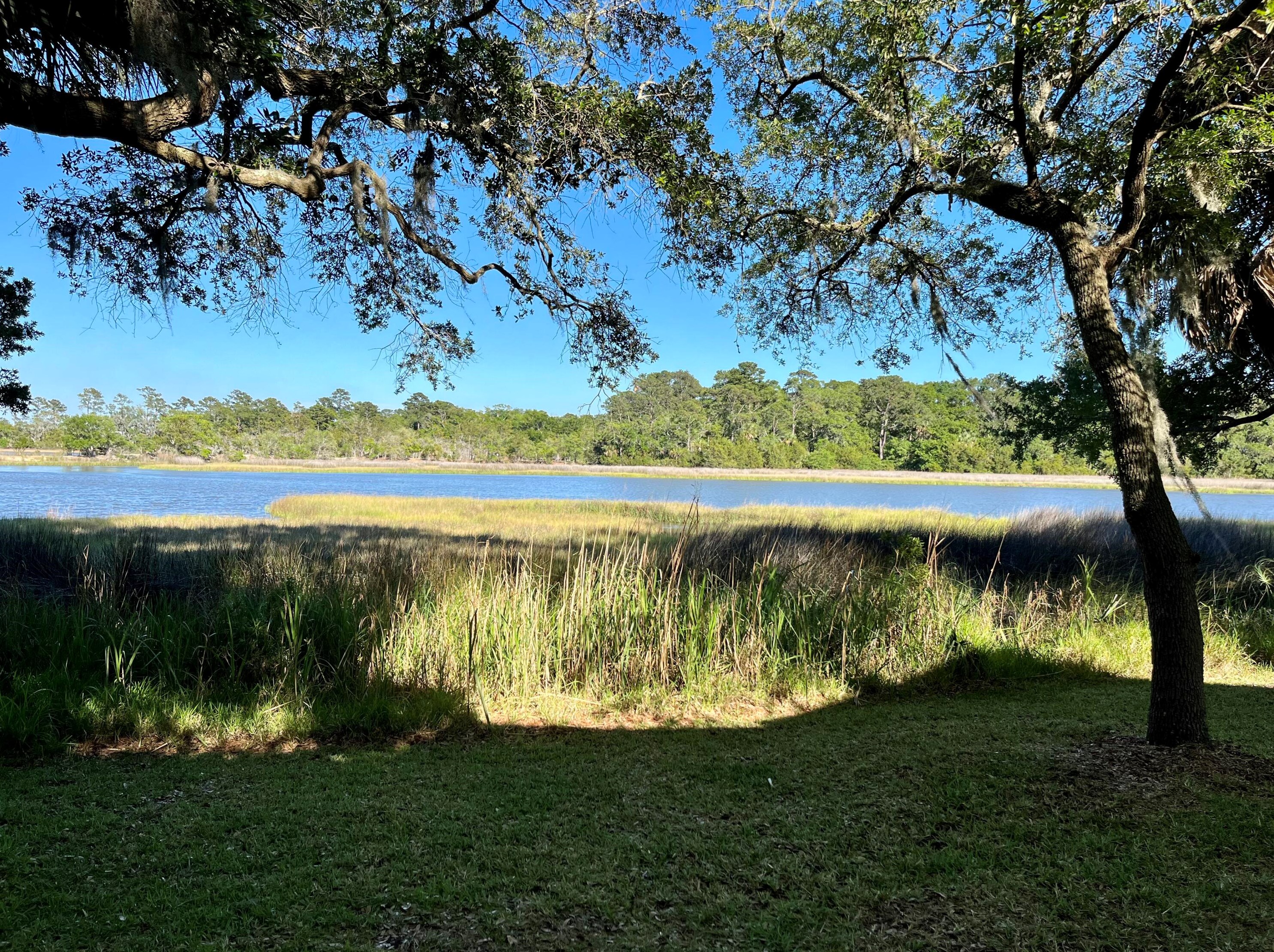 8958 Palmetto Rd, Edisto, SC 29438