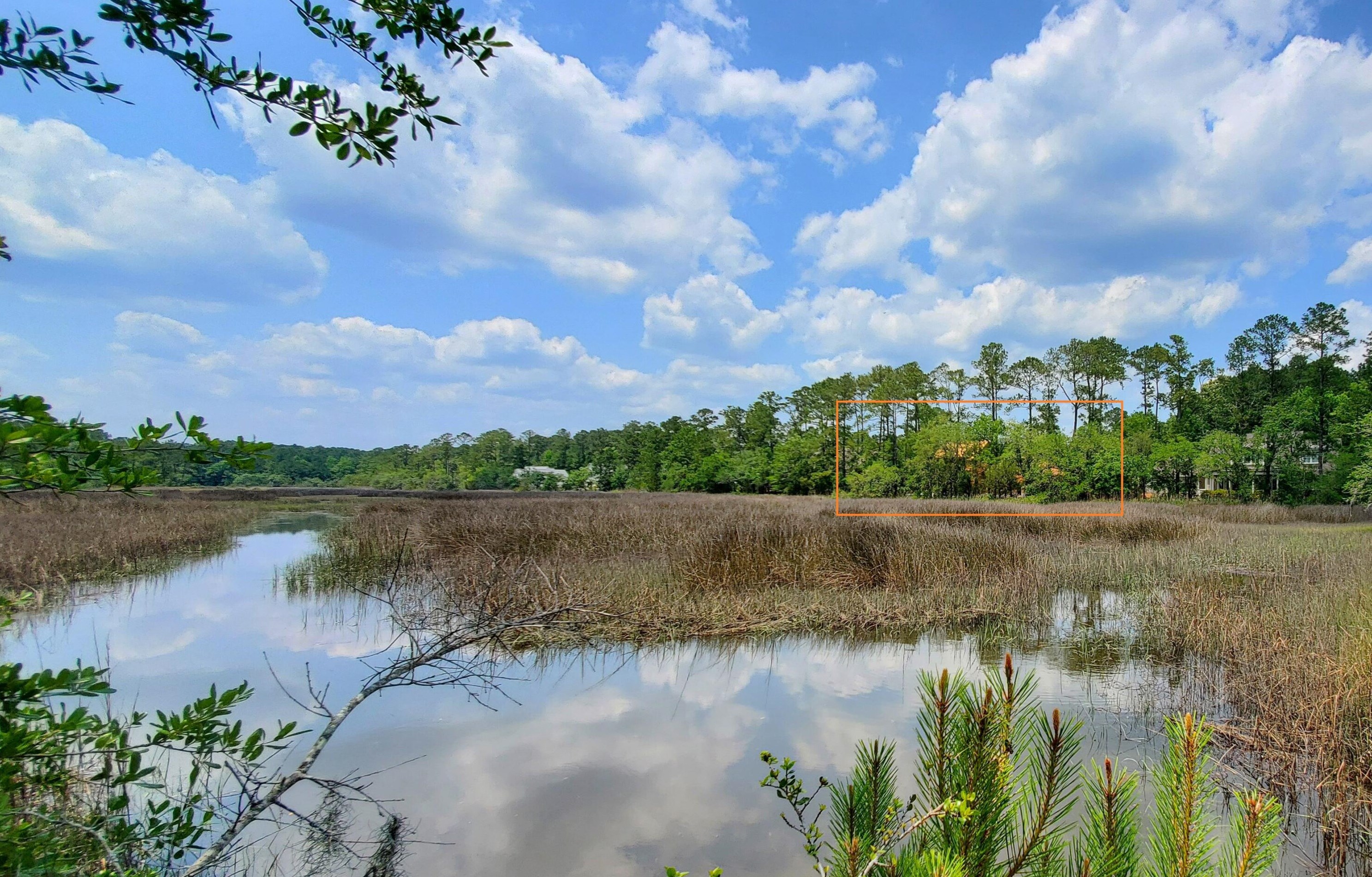 4117 Duck Club Road, Ravenel, SC 29470