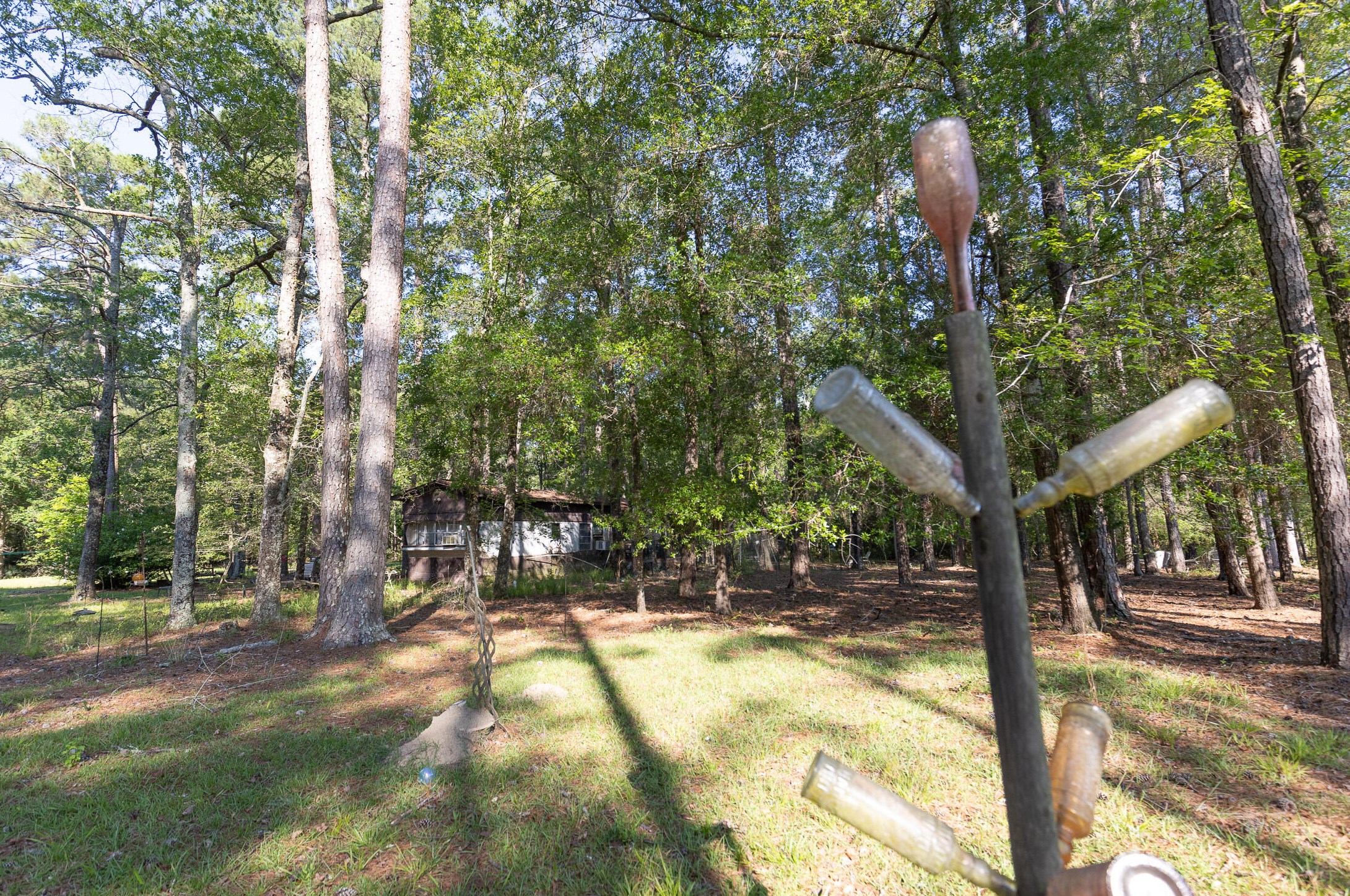 801 Proctor Rd, Cope, SC 29038-9131