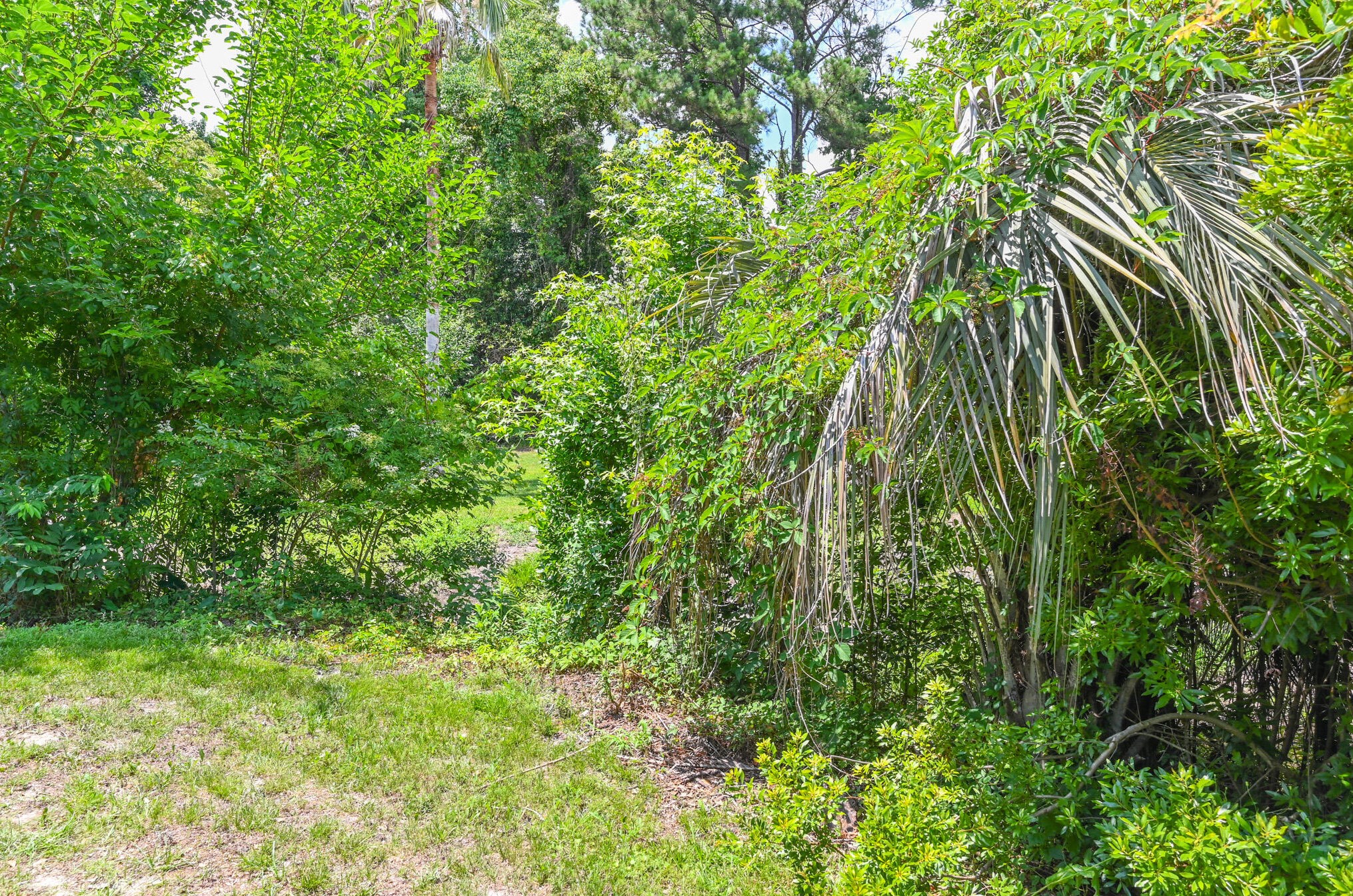 6280 Lucille Dr, Charleston SC  29406-4875 exterior