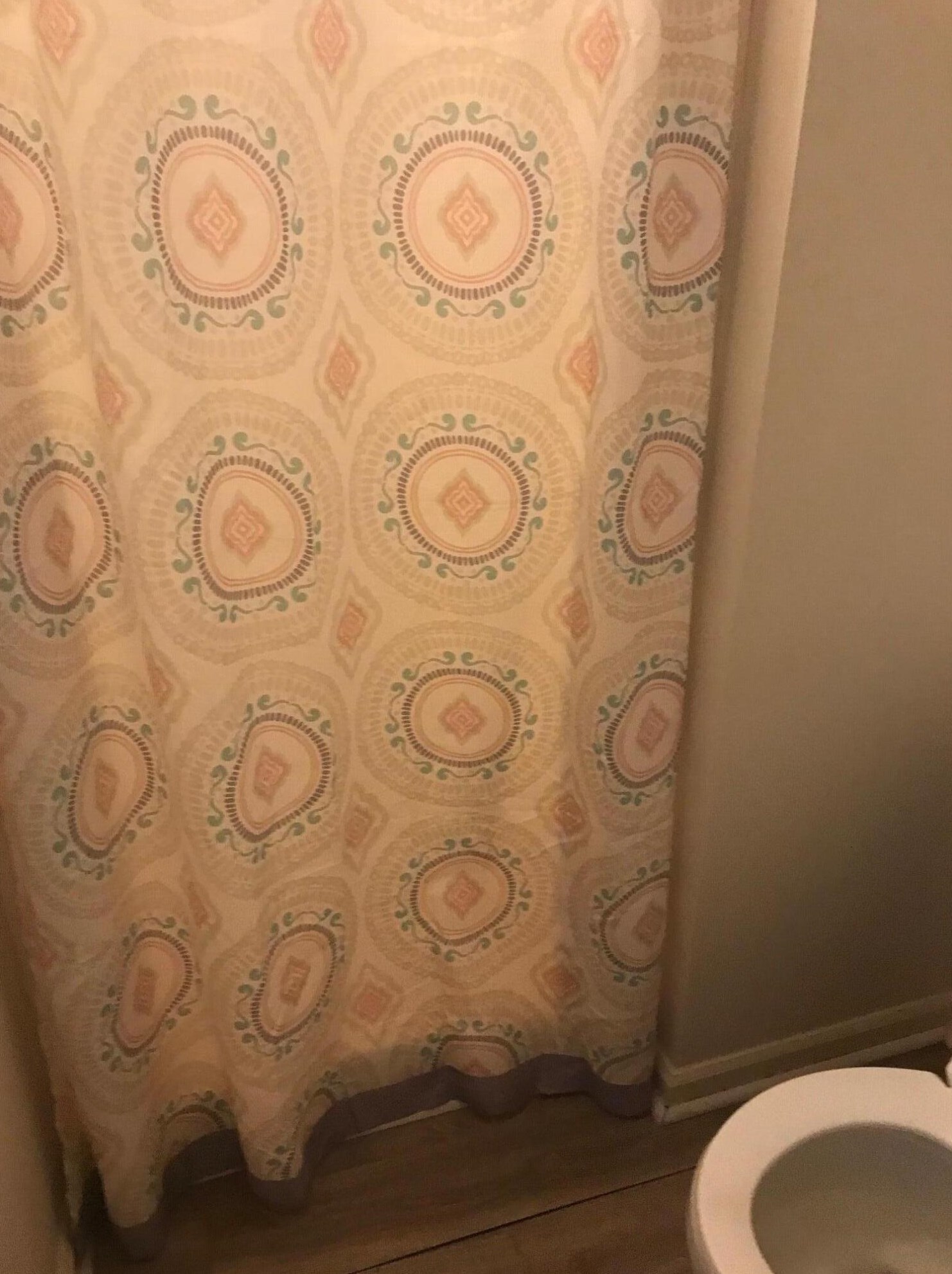 68 Peppertree Ln, Charleston SC 29420-8503 exterior