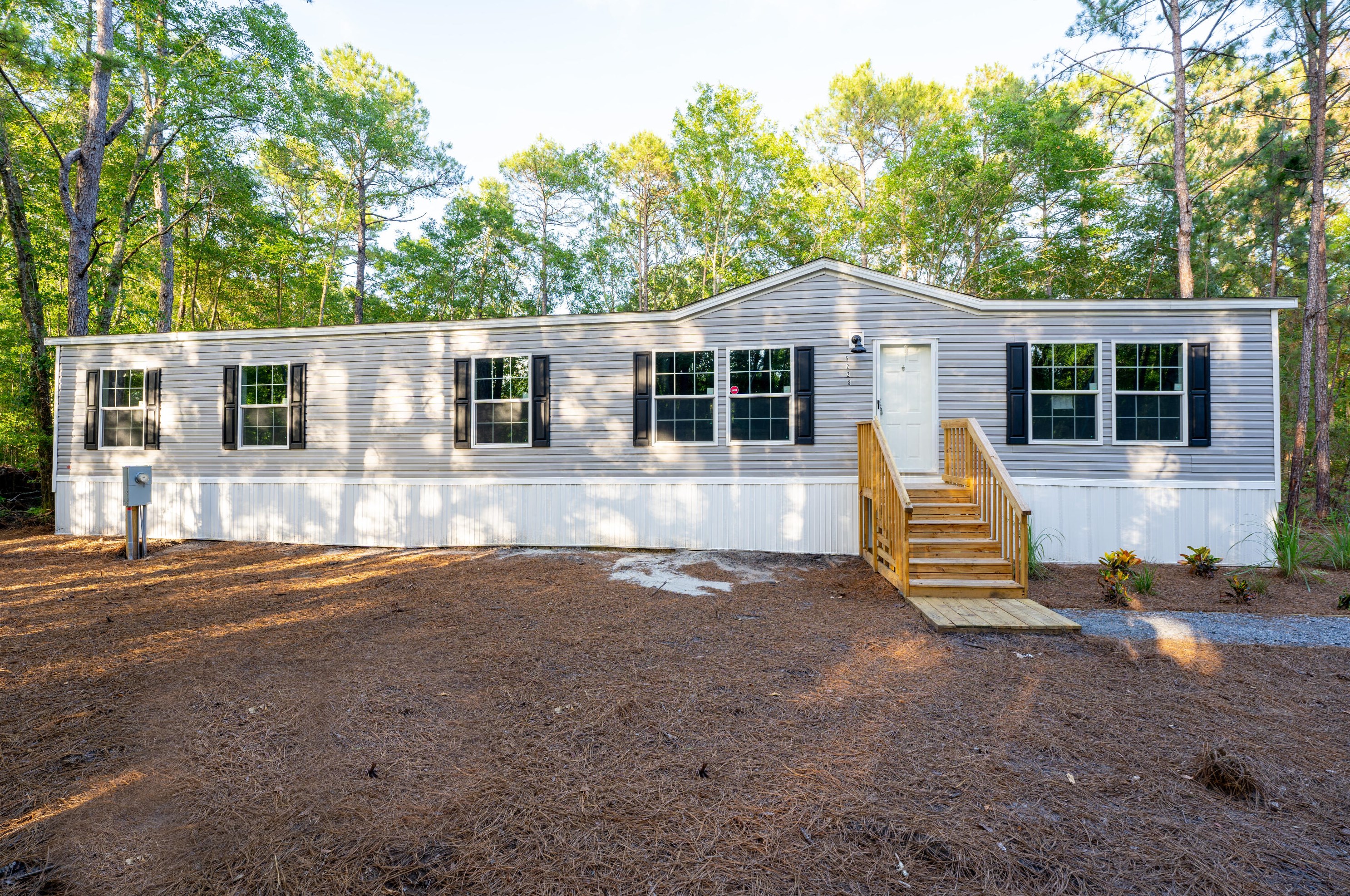 5228 Peartree Pl, Meggett, SC 29449