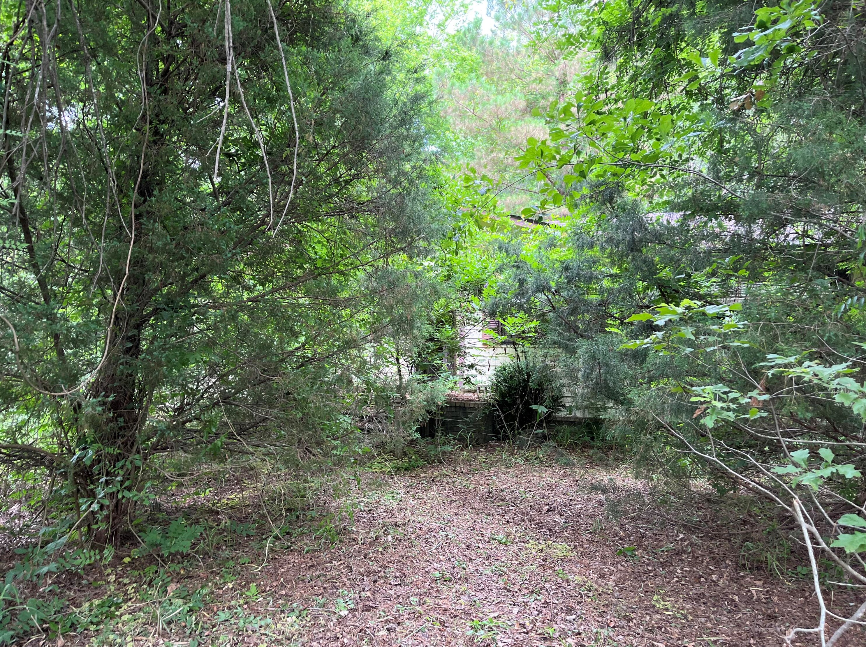 1030 Main St, Alvin, SC 29479-4016