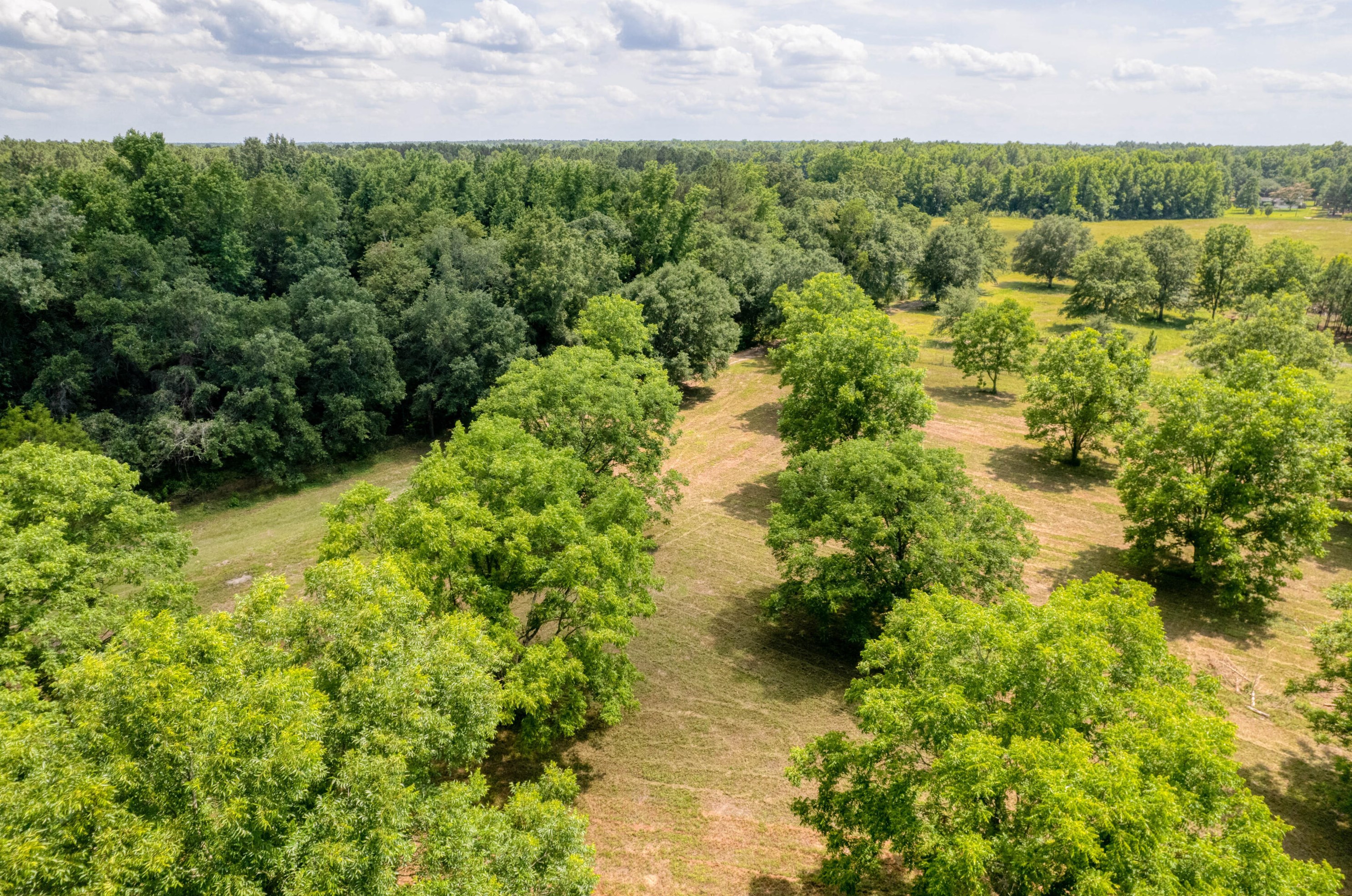 310 Frankfort Ct, Eutawville, SC 29048-9106