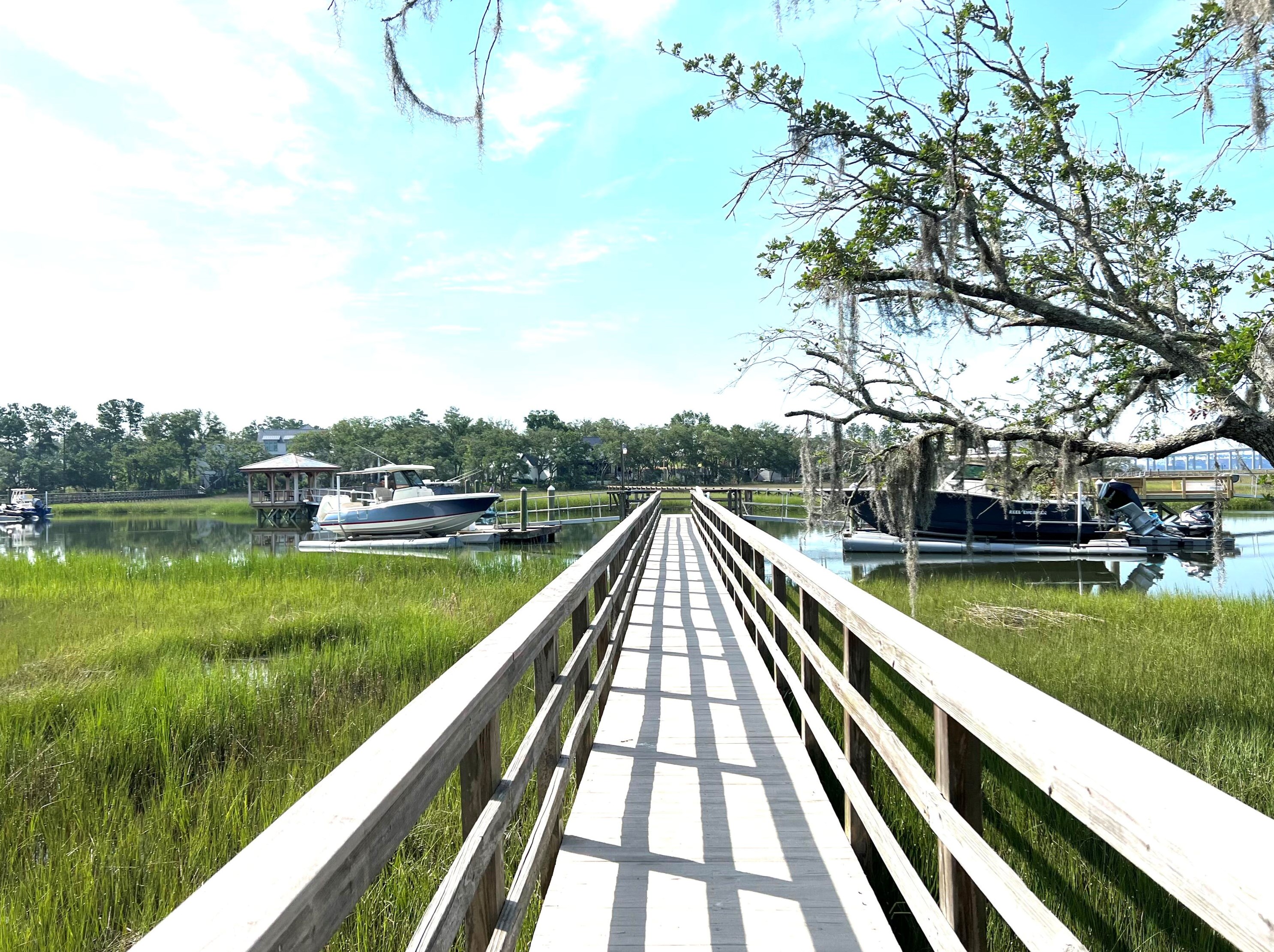 381 Rhoden Island Dr, Charleston, SC 29492-8465