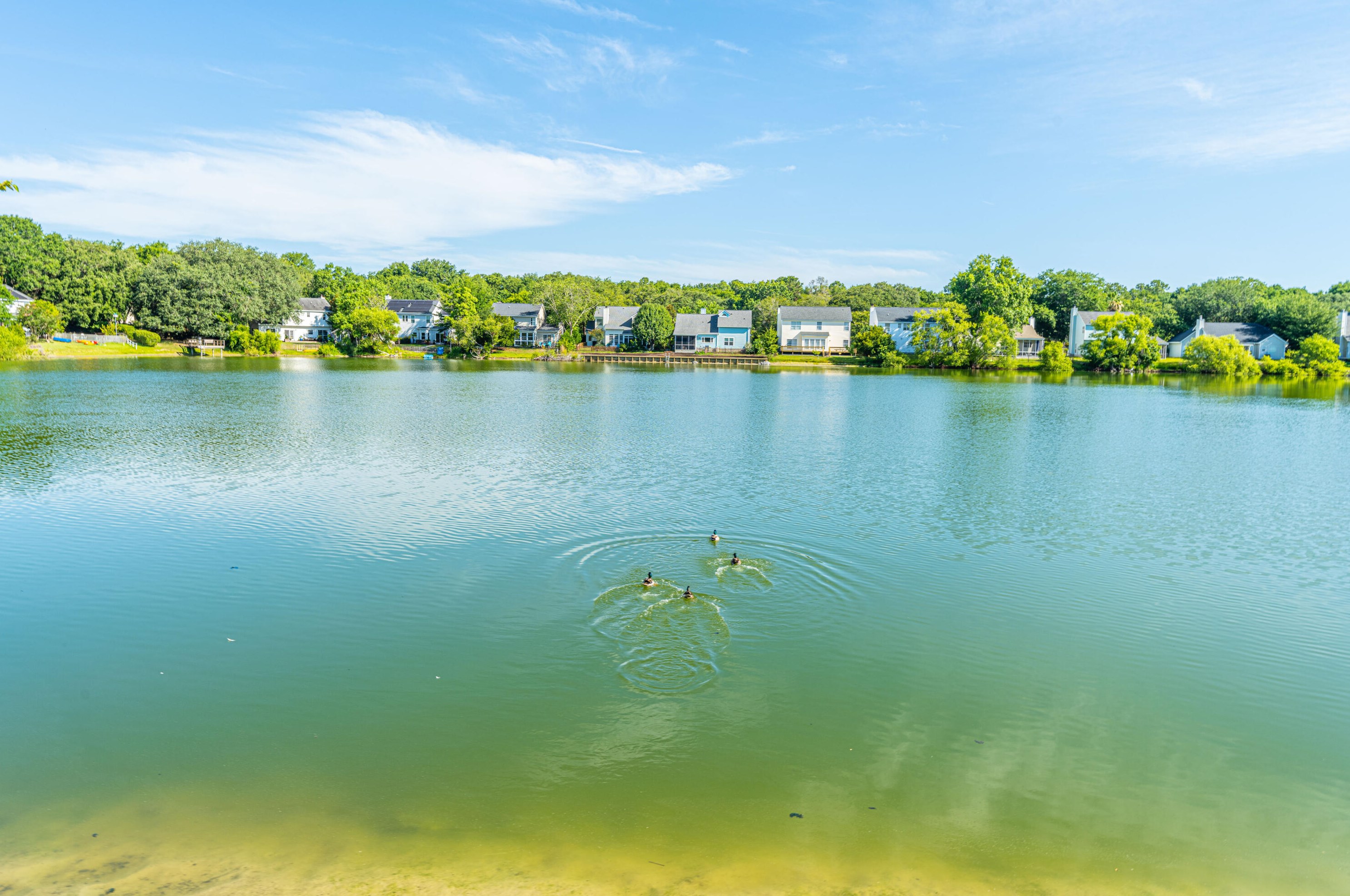 1535 Harborsun Dr, Charleston SC 29412-8273 exterior