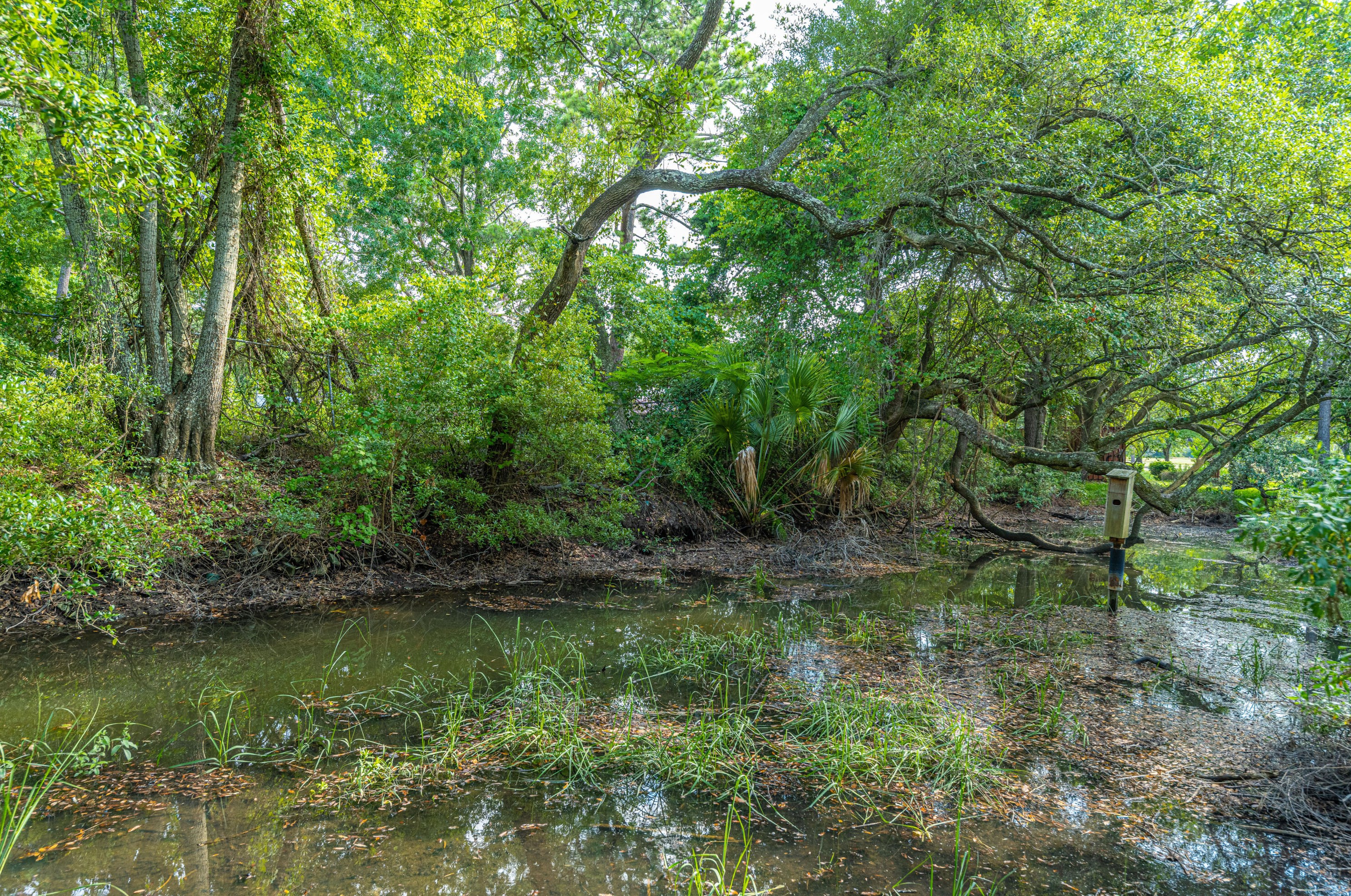 49 Oyster Point Row, Charleston SC  29412-3615 exterior