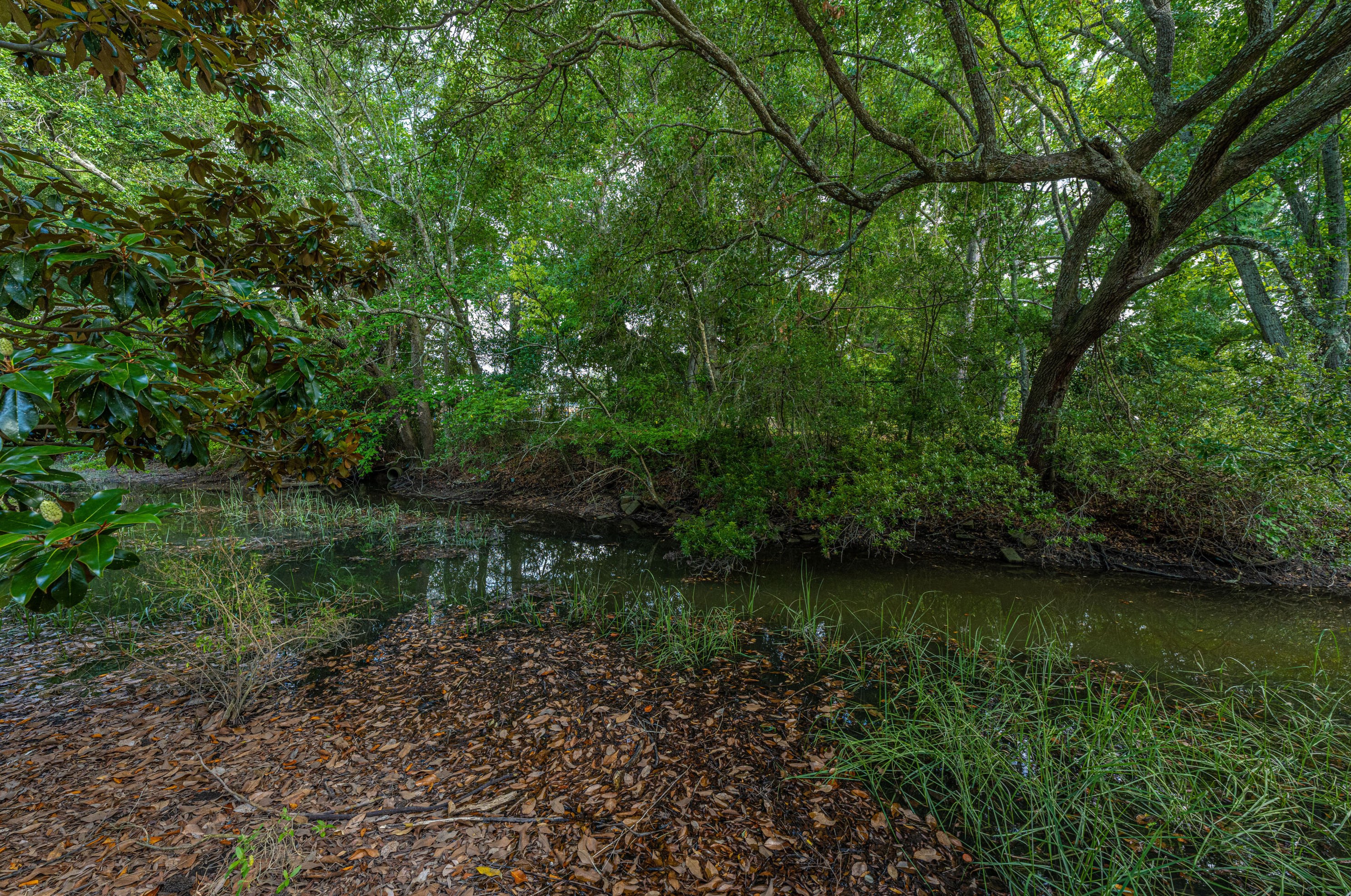49 Oyster Point Row, Charleston SC  29412-3615 exterior