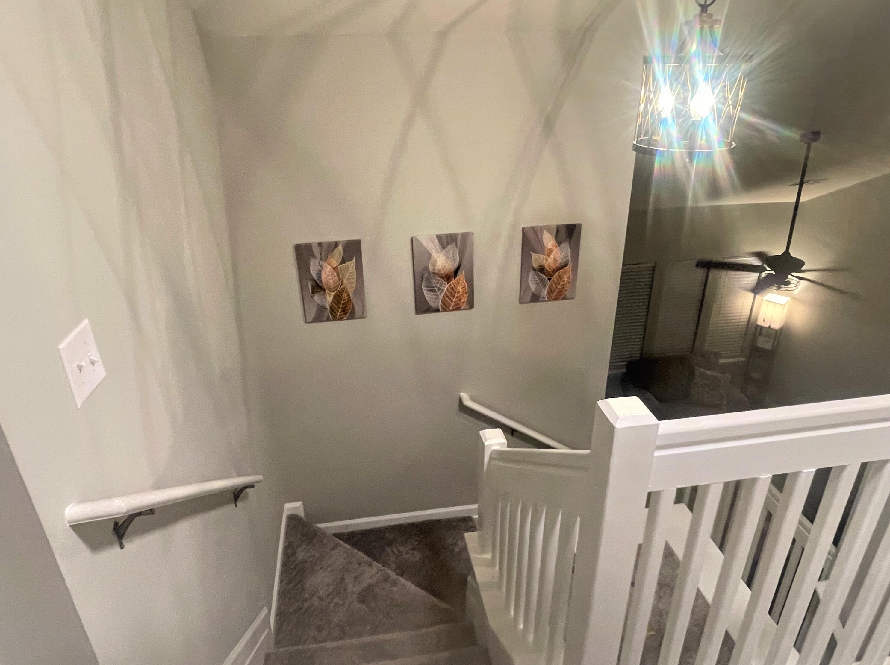 3406 Poplar Grove Pl, Summerville, SC 29483-1699