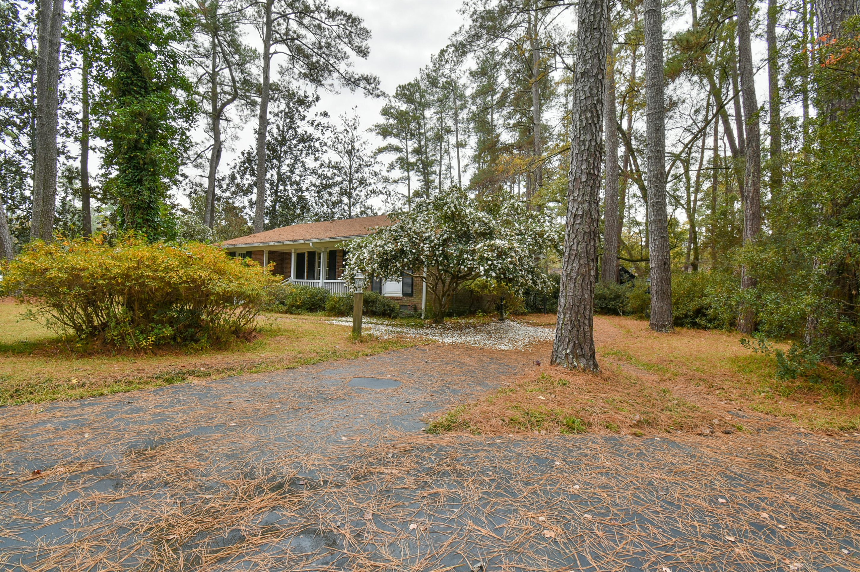 201 Fenwick Rd, Walterboro SC  29488-3572 exterior