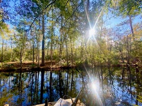 161 Wee Hope Loop, Walterboro SC  29488-7247 exterior
