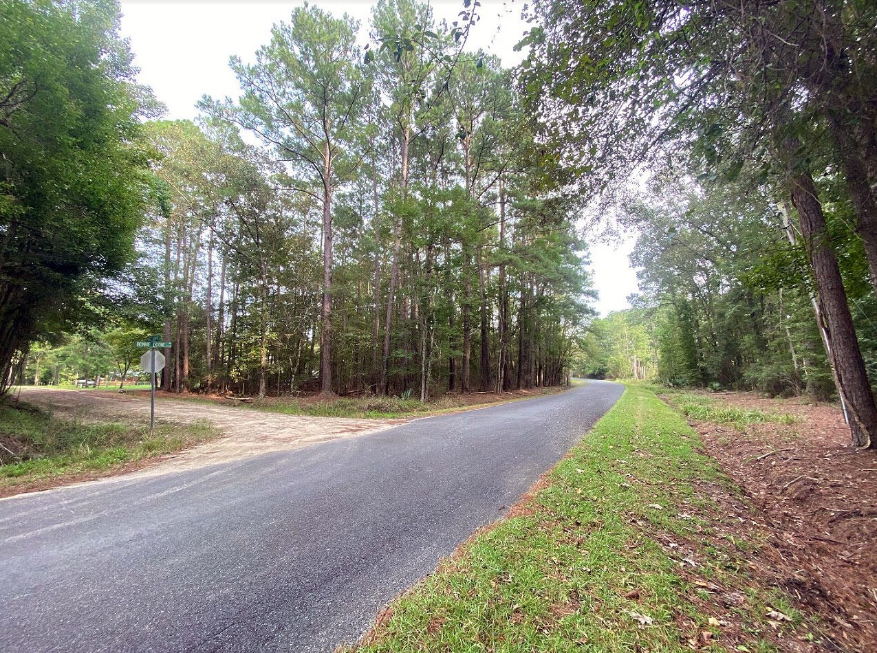 161 Wee Hope Loop, Walterboro SC  29488-7247 exterior