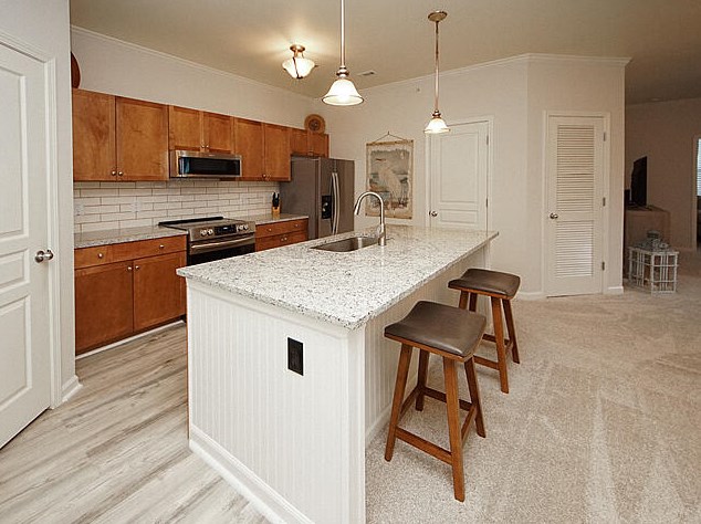 600 Bucksley Ln #308, Charleston, SC 29492