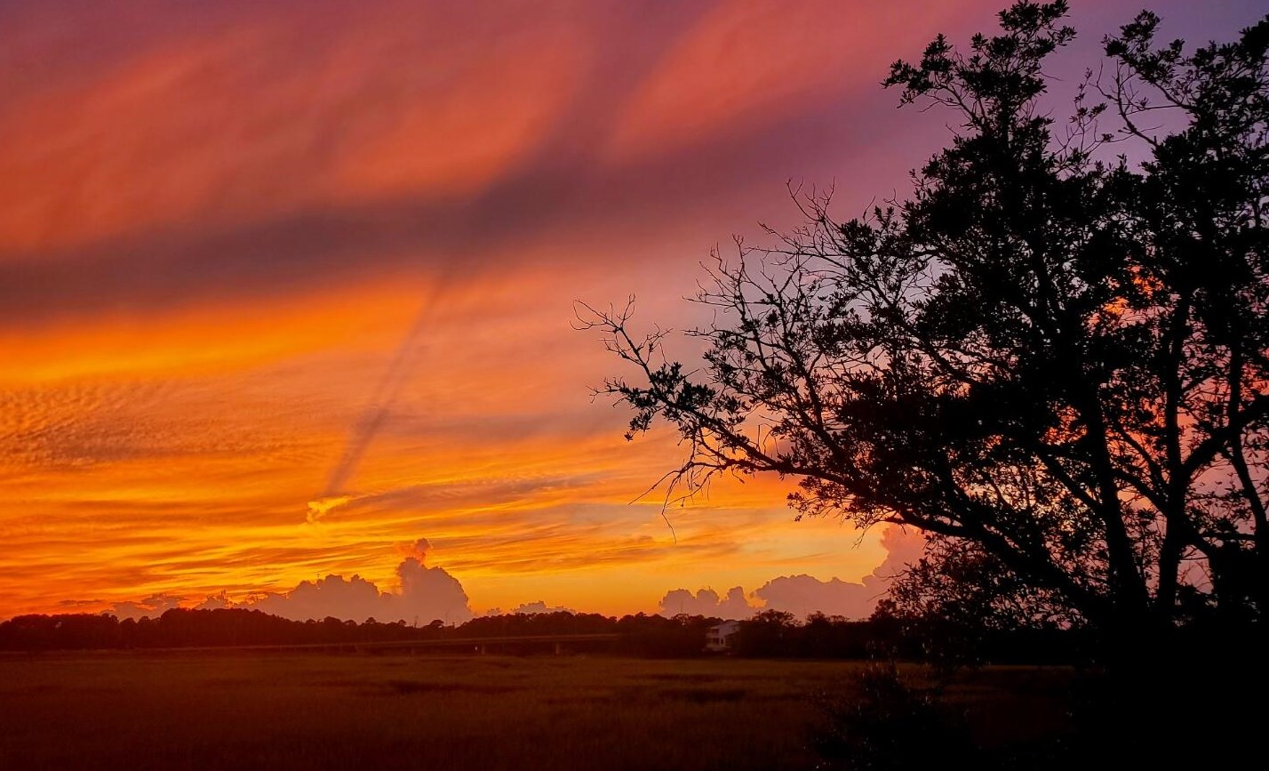 658 Harbor Creek Pl, Charleston SC 29412-3203 exterior