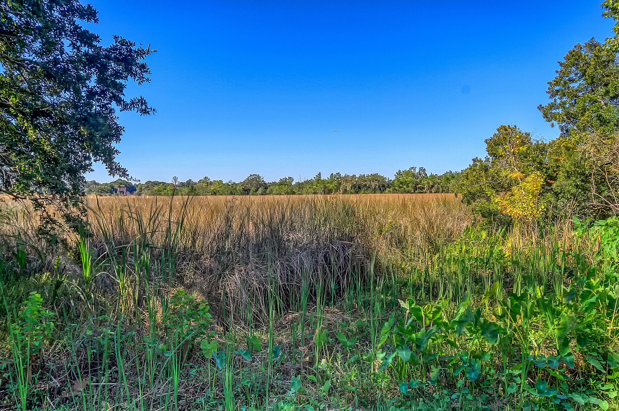 4738 Fetteressa Ave, Charleston, SC 29418-5626