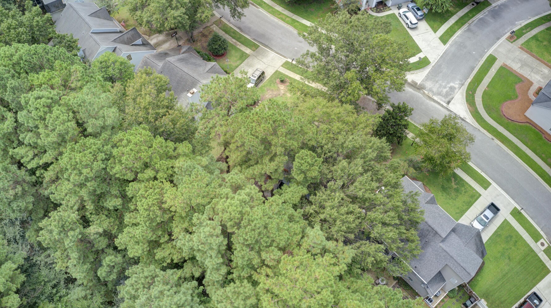 117 Isherwood Dr, Charleston SC exterior