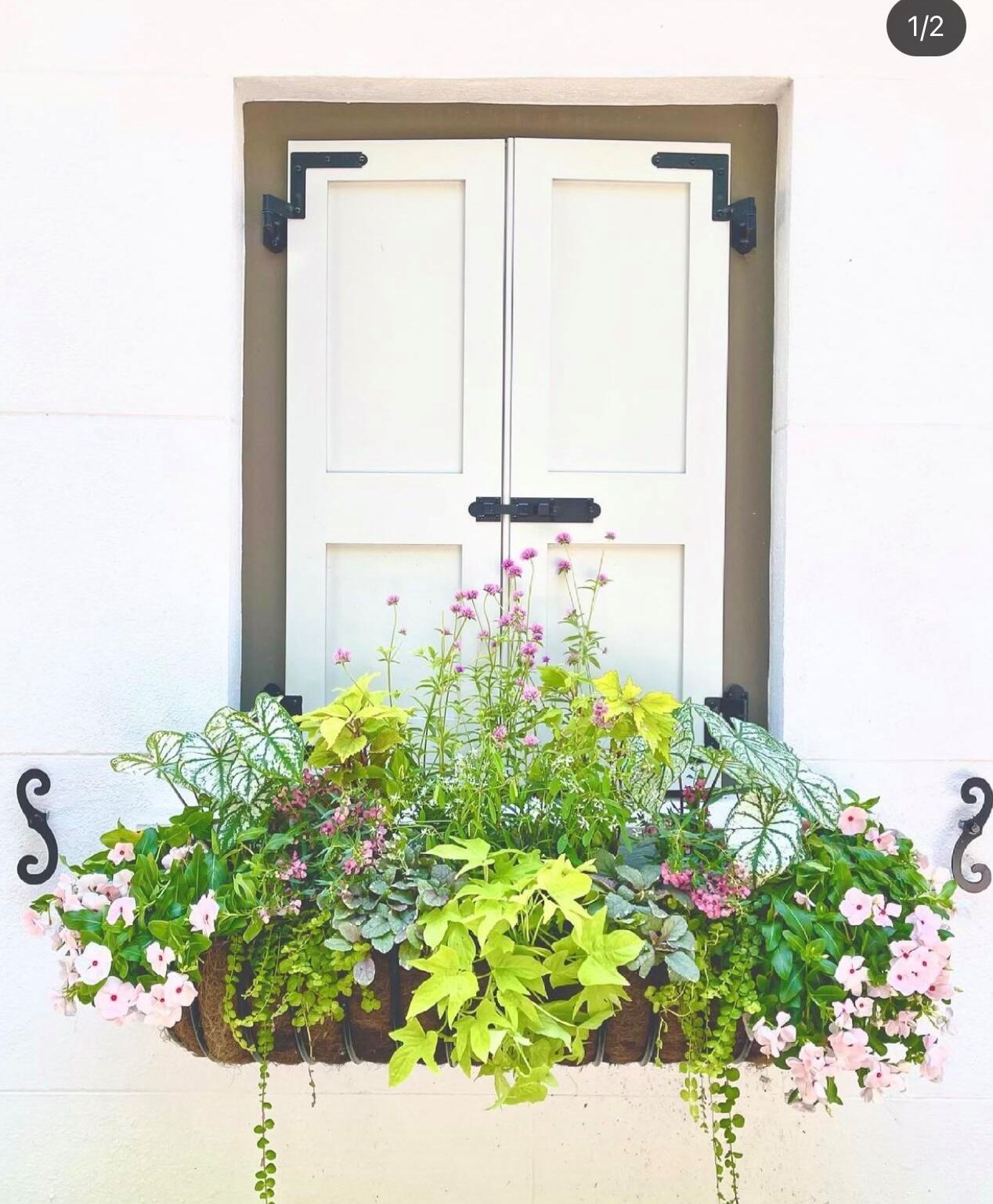 151 Queen St, Charleston SC  29401-1950 exterior