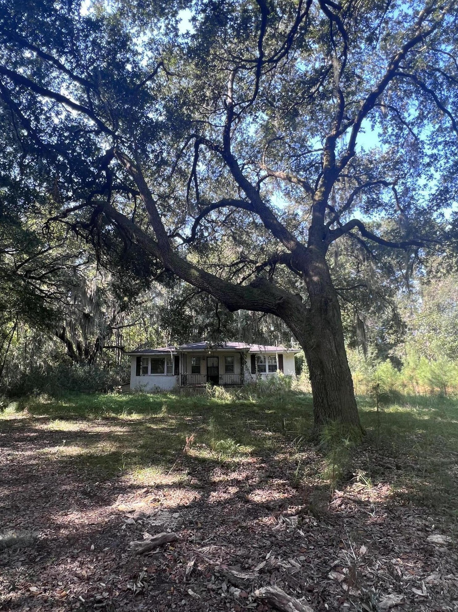7939 Legare Rd, Edisto, SC 29438