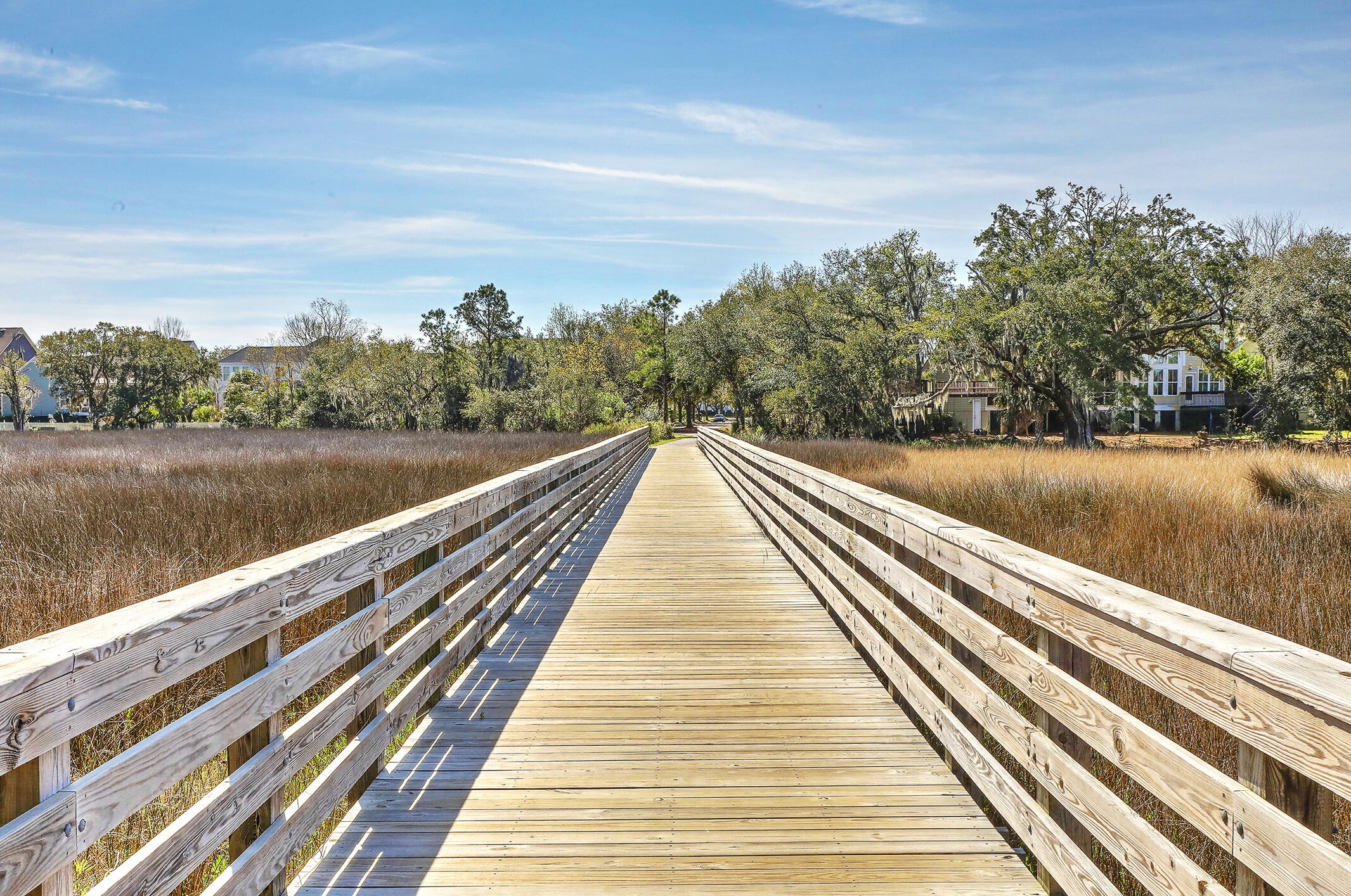 8047 Gibbon St, Charleston SC 29492-8351 exterior