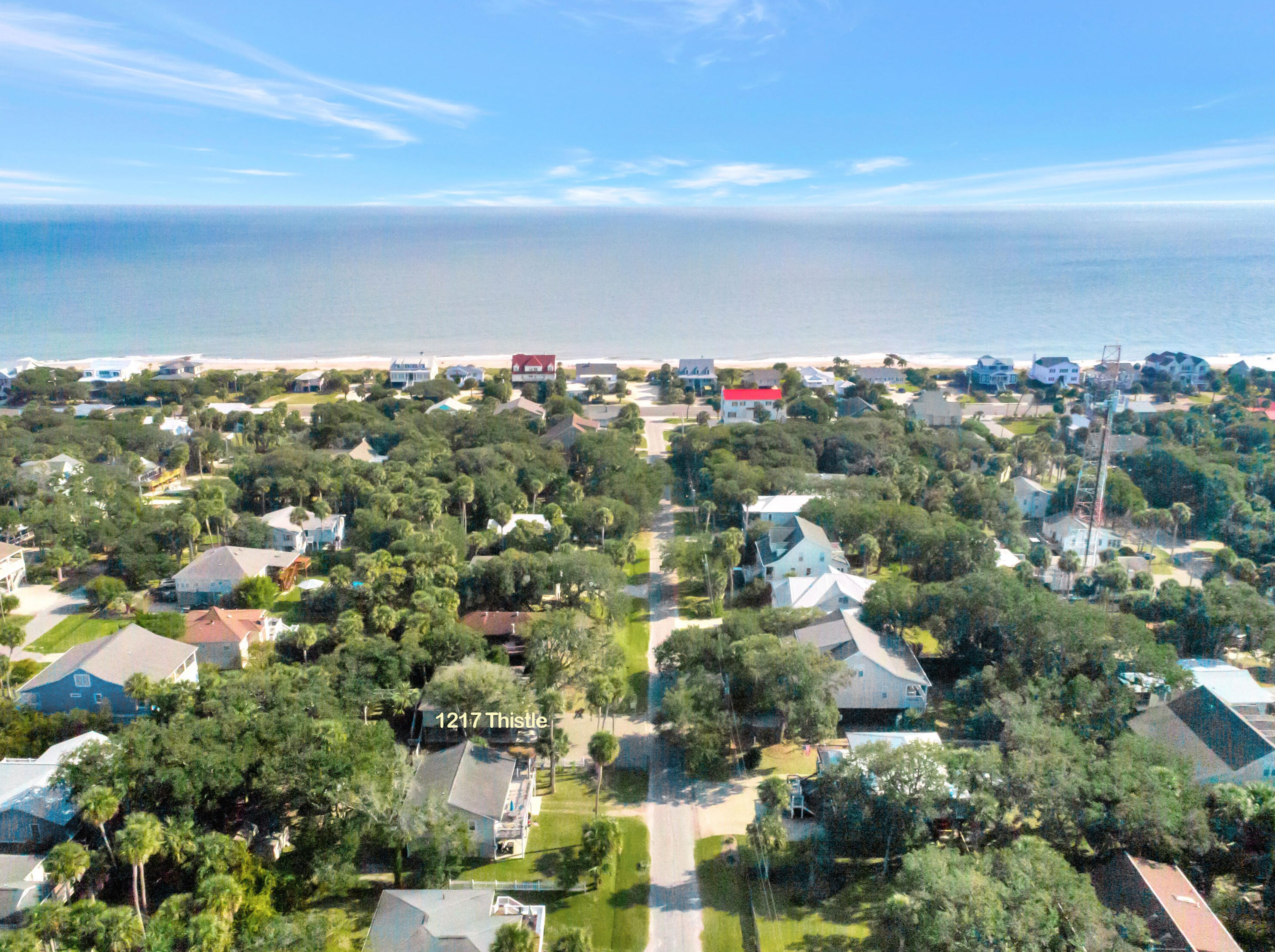 1217 Thistle St, Edisto, SC 29438-3324