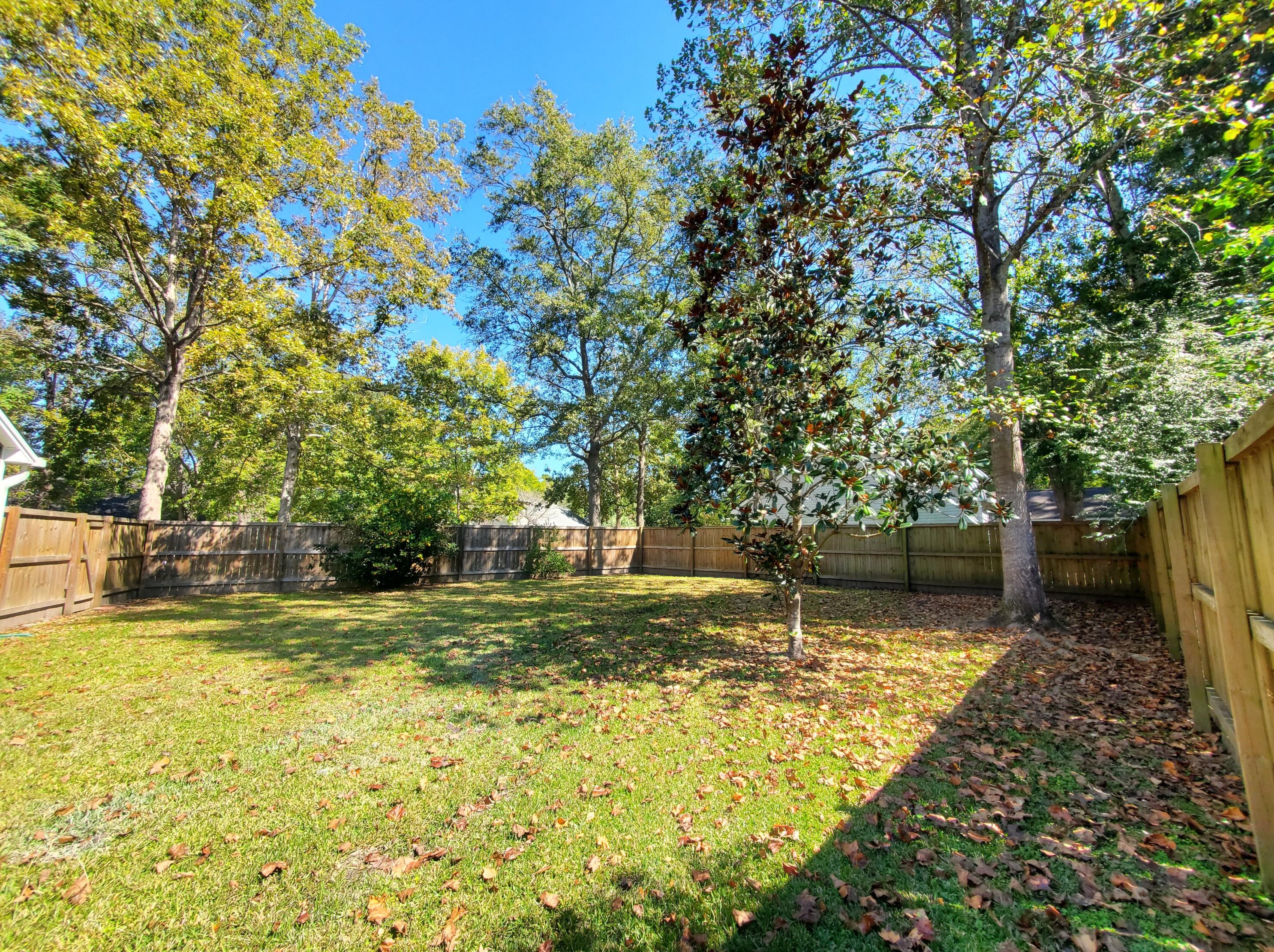 101 Ceinwein Ct, Charleston, SC 29445-7505