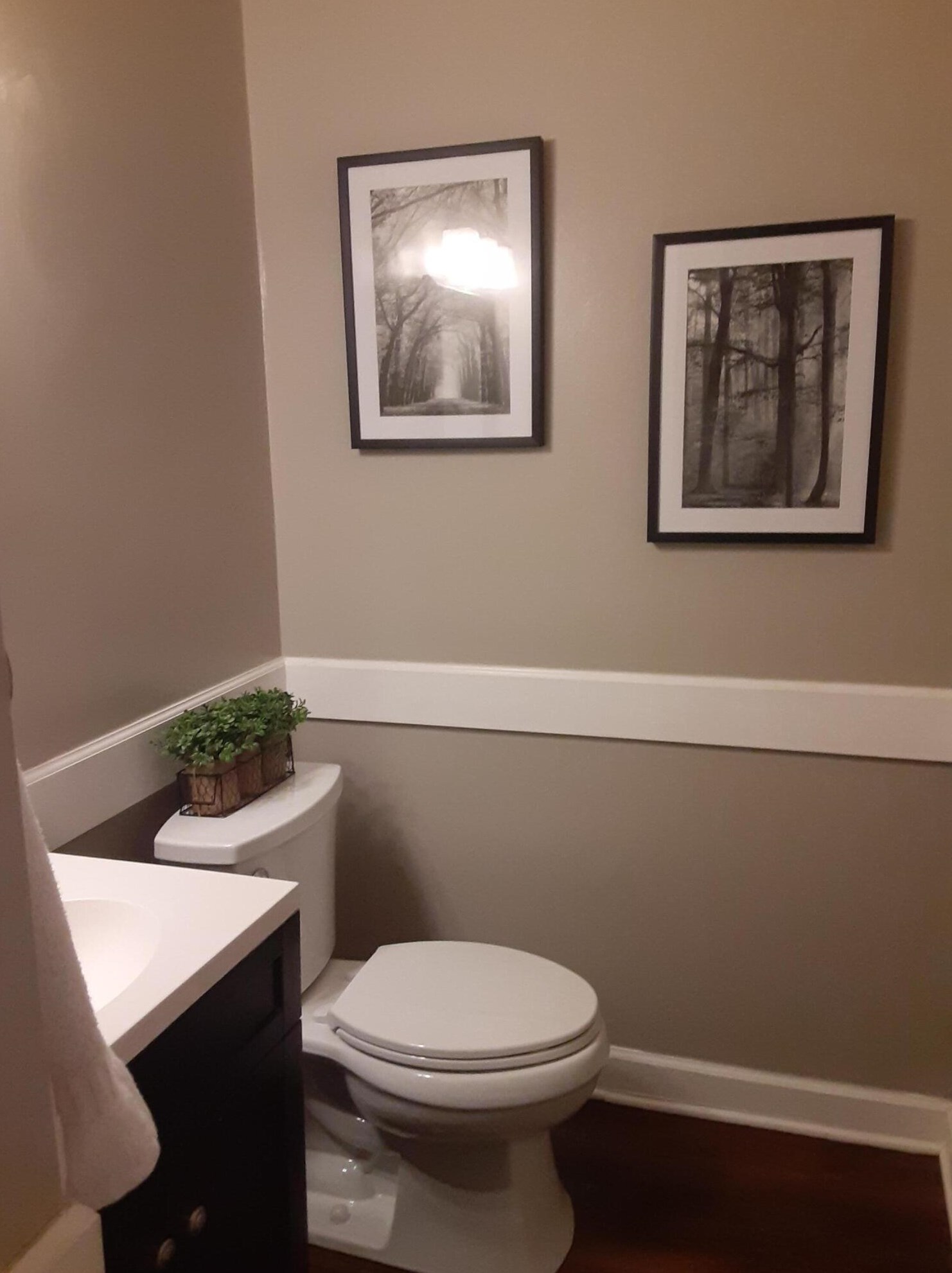 21 Rivers Point Row #3c, Charleston, SC 29412