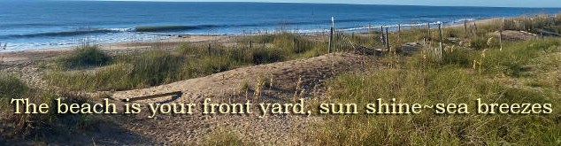 214 Palmetto Blvd, Edisto, SC 29438-3017