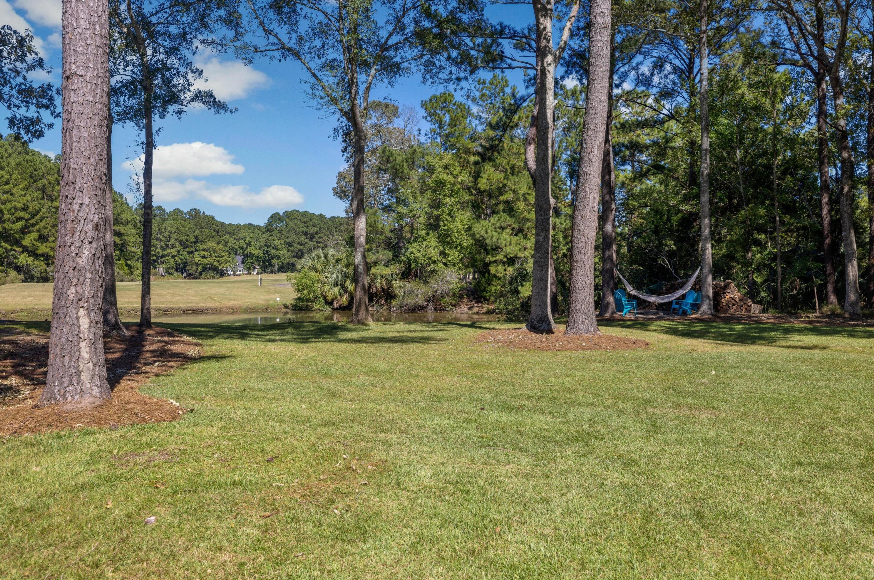 2961 Pignatelli Cres, Mount Pleasant SC  29466-8056 exterior