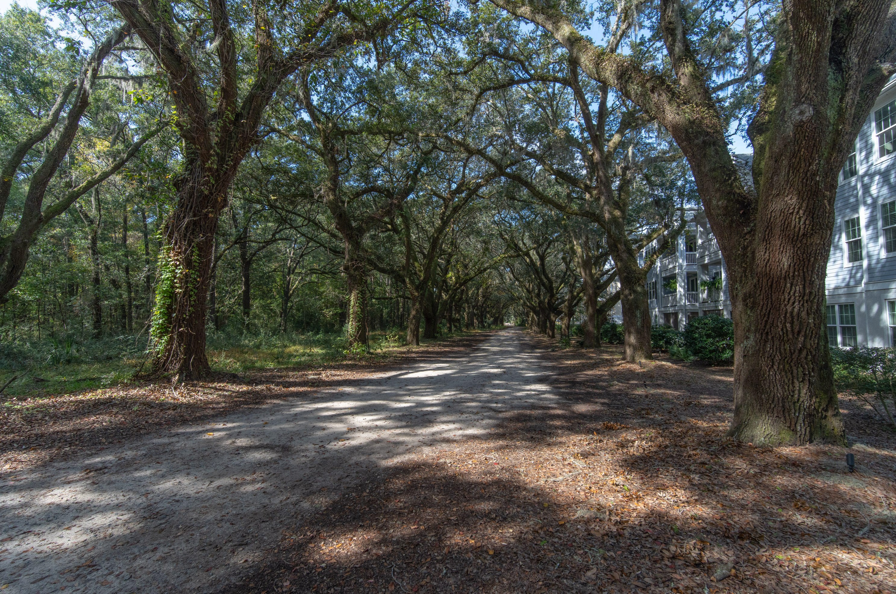 60 Fenwick Hall Allee #137, Johns Island, SC 29455