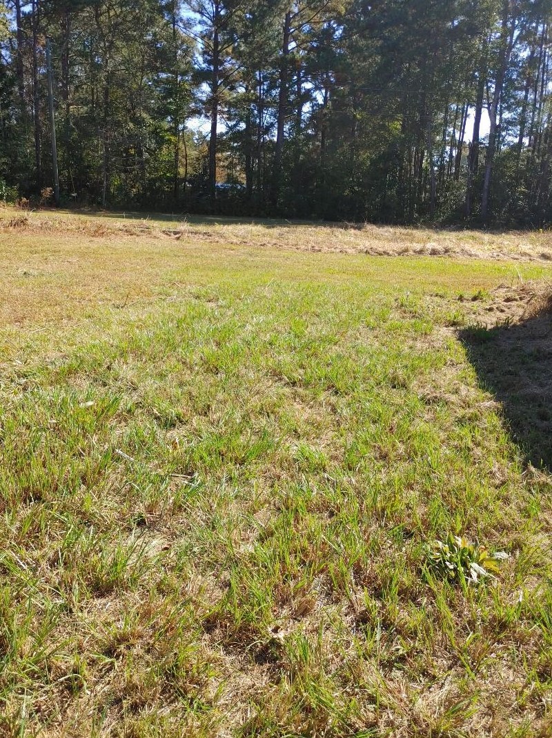 314 Grape Arbor Dr, Summerville, SC 29483-2334