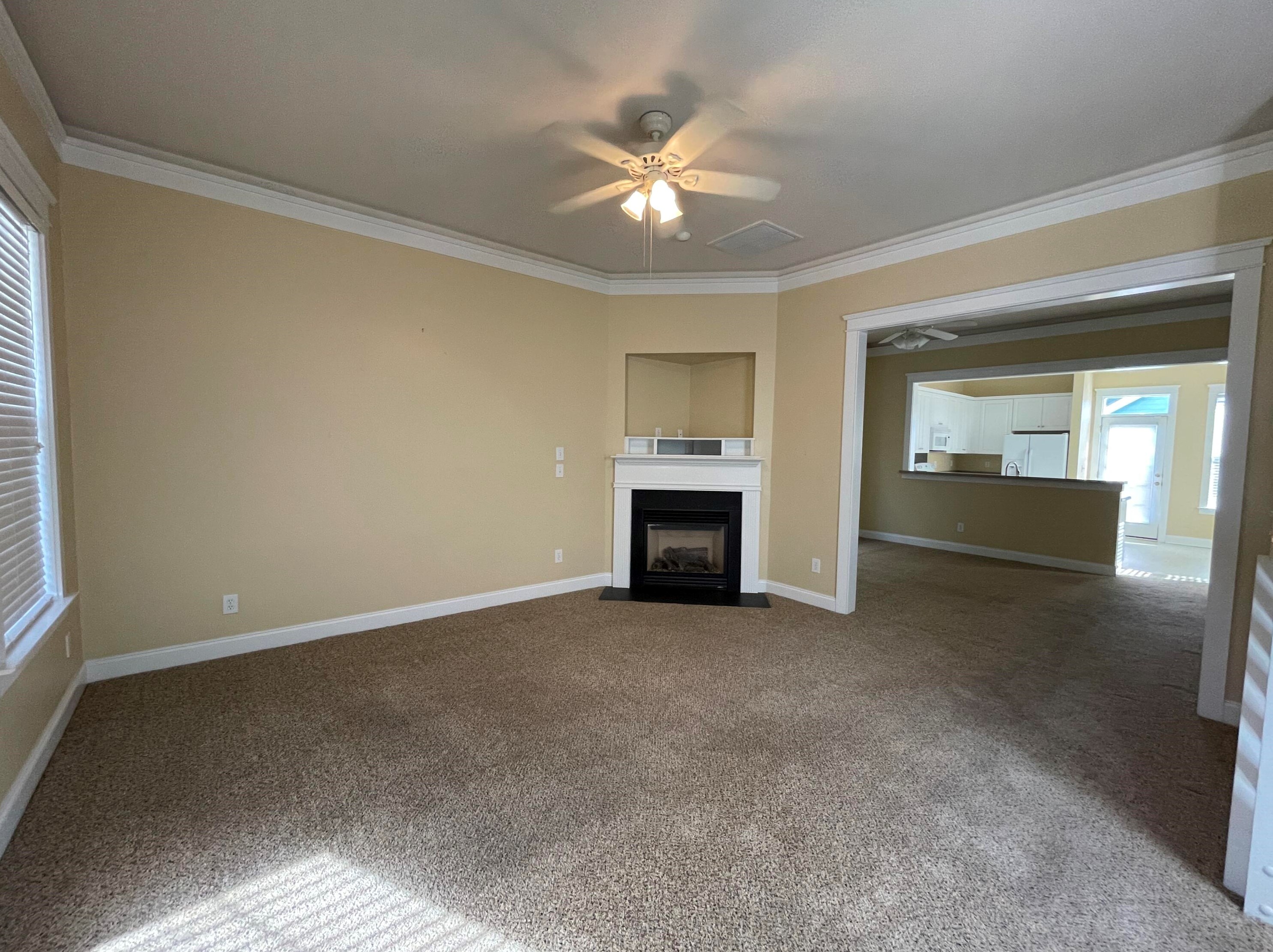131 Hyacinth St, Summerville, SC 29483