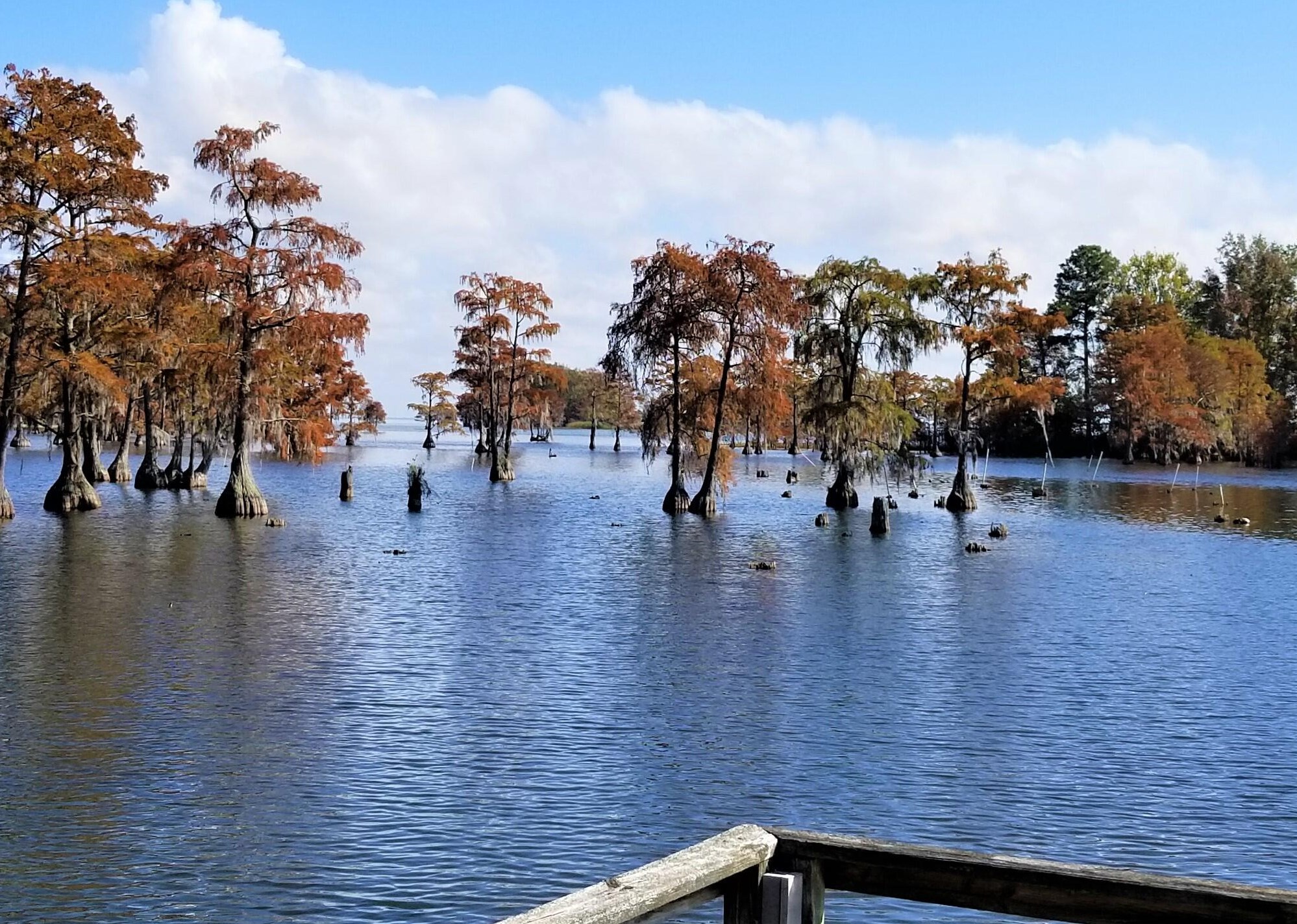 136 Eagle Point Rd, Cross, SC 29436