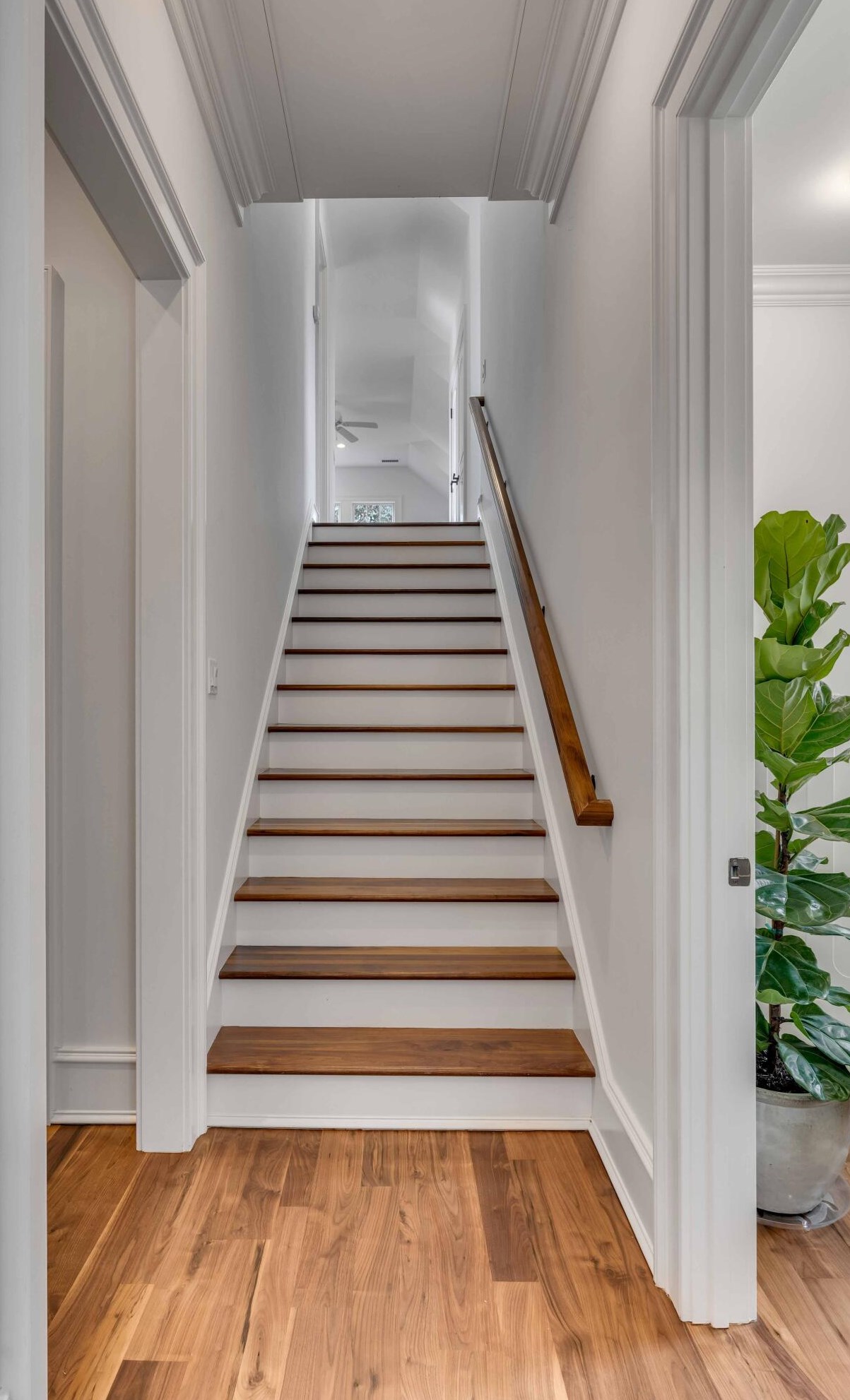 59 Iron Bottom Ln, Charleston SC  29492-8415 exterior