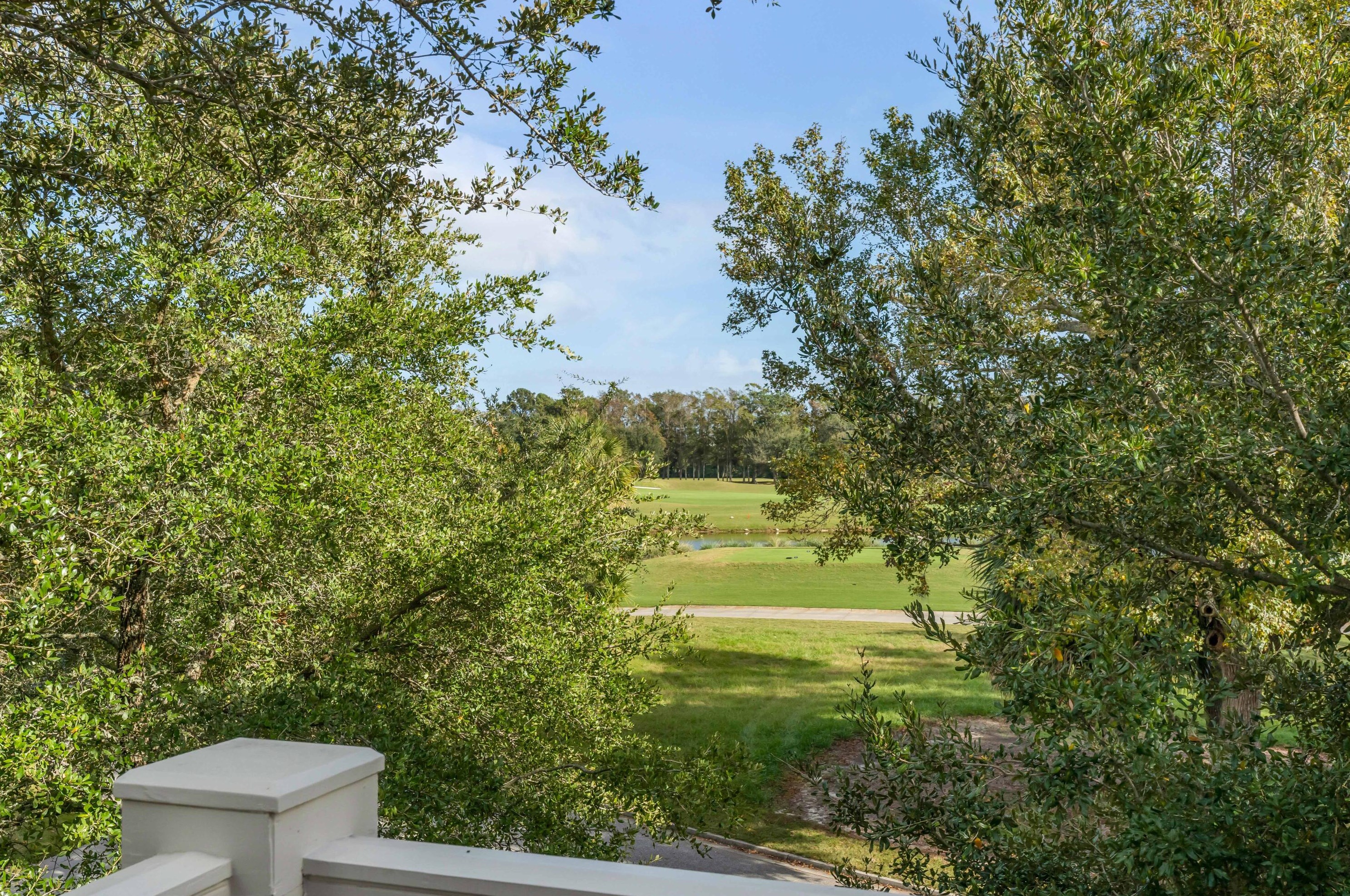 59 Iron Bottom Ln, Charleston SC  29492-8415 exterior