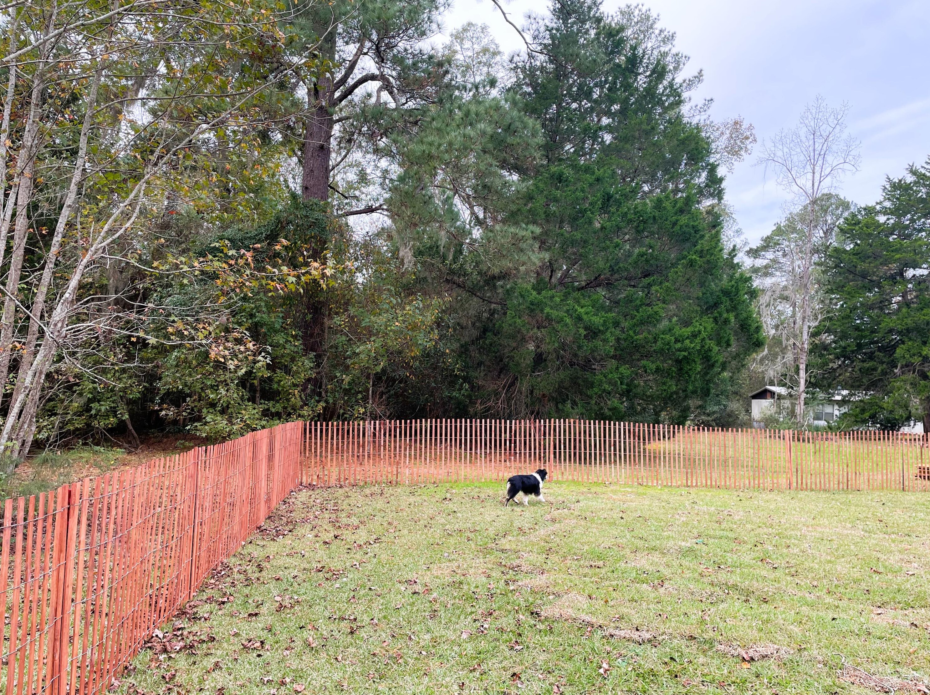 1371 Mount Carmel Rd, Walterboro SC  29488-6309 exterior