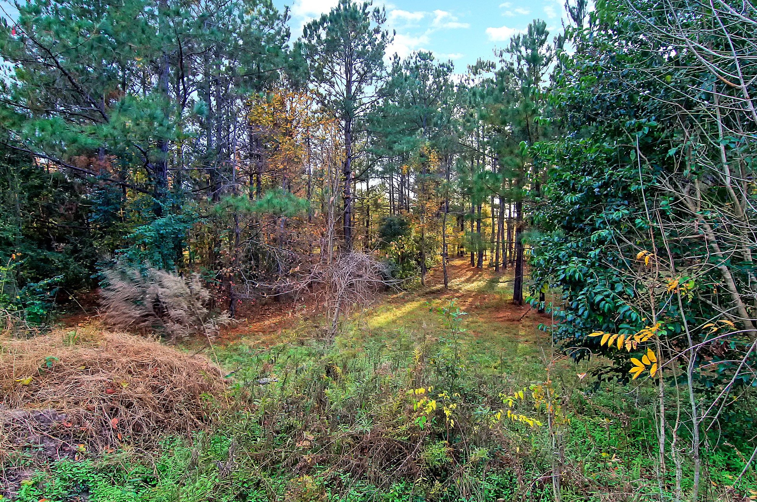 369 Edisto Dr, Moncks Corner SC  29461-4345 exterior