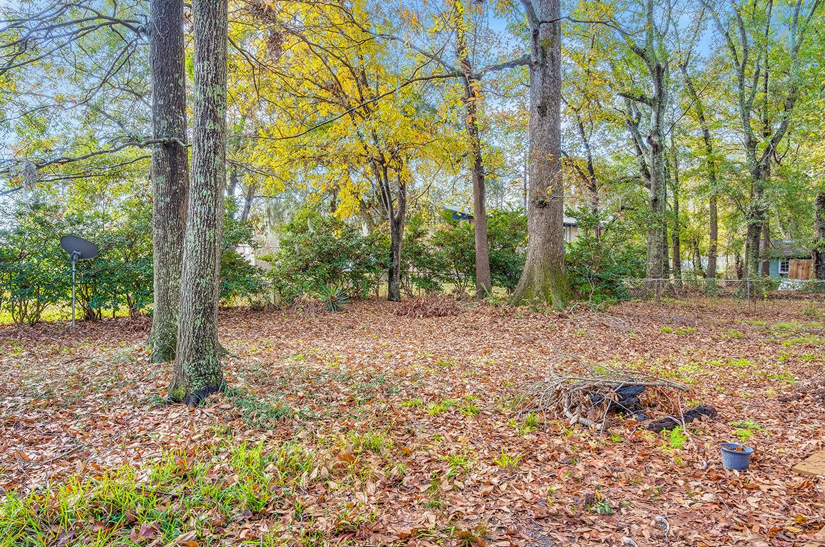 1126 Carverwood Ln, Charleston SC  29407-4806 exterior