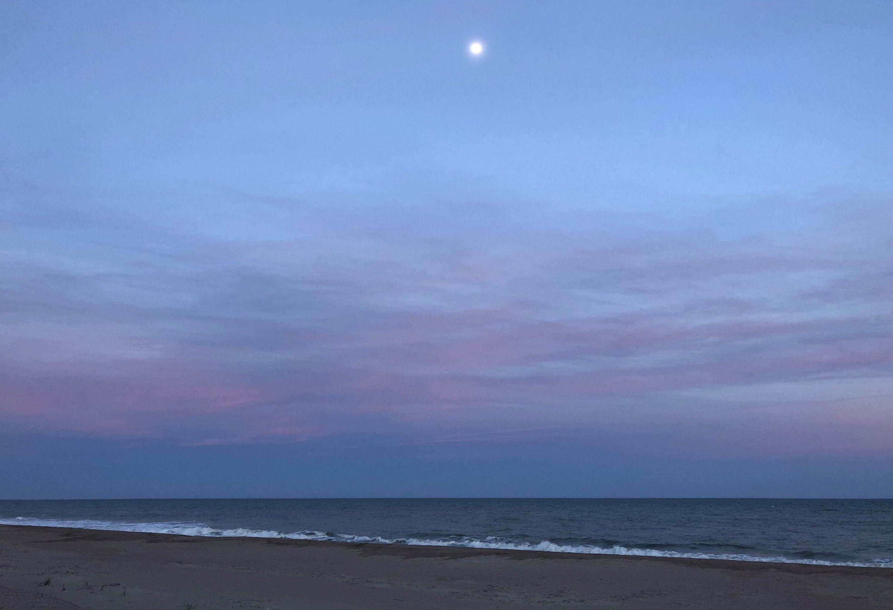 2407 Myrtle St, Edisto, SC 29438-3443