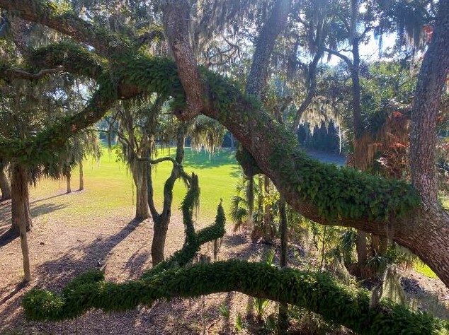 341 Sea Cloud Cir, Edisto, SC 29438-3605